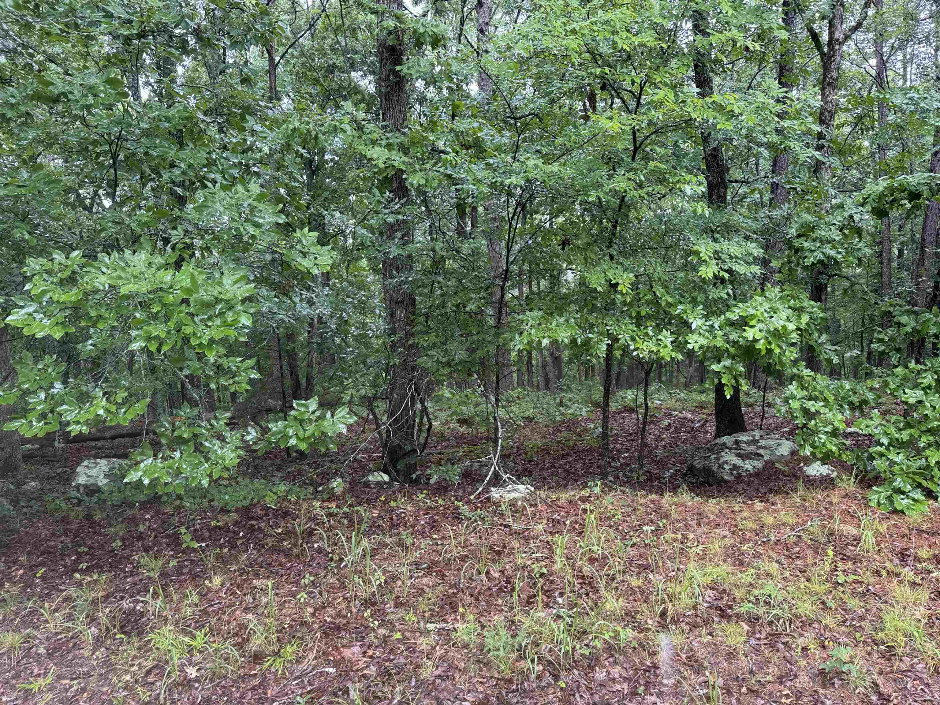 Lot 36 Vista Lane Property Photo 3
