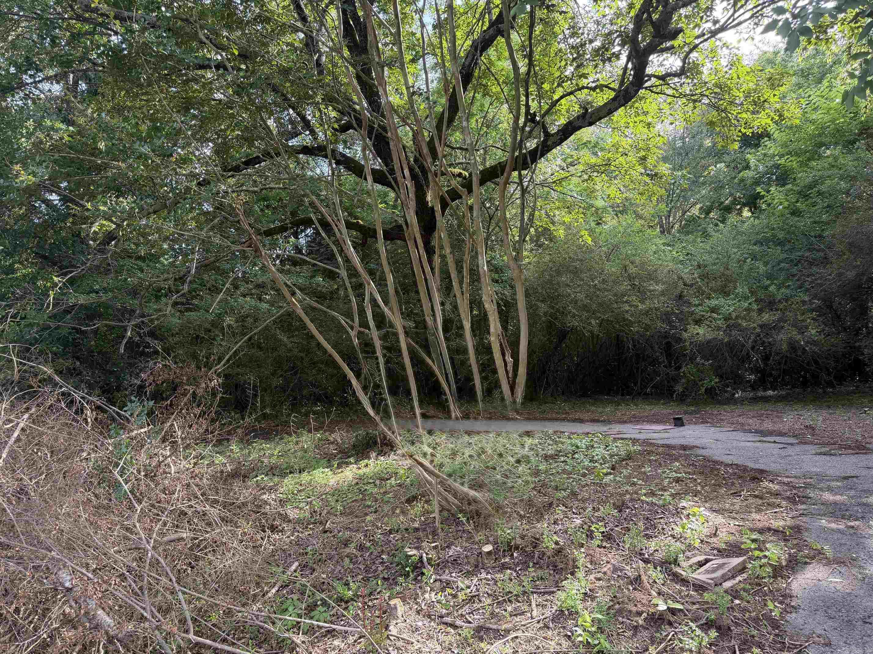 508 N Center Property Photo 2