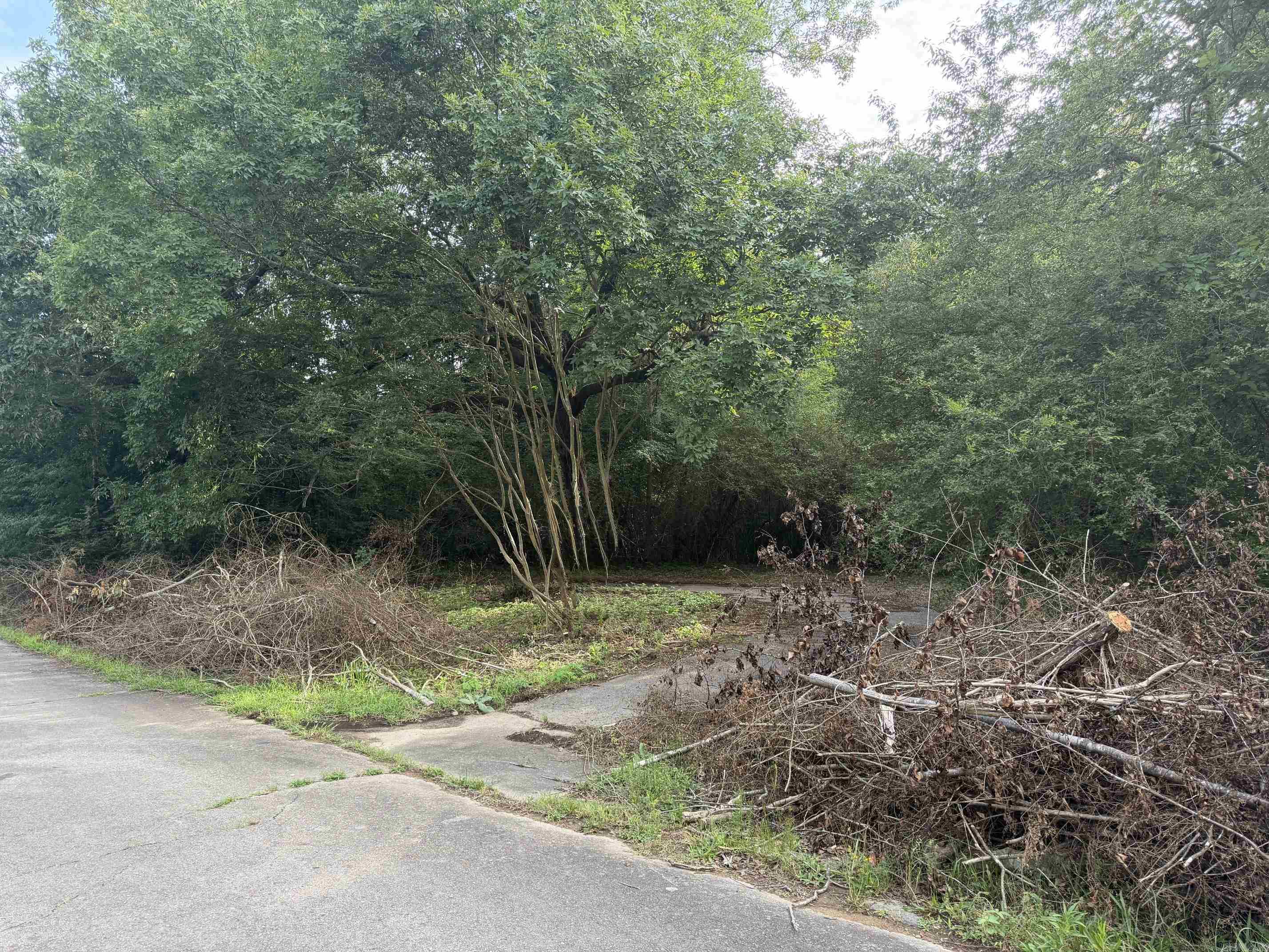 508 N Center Property Photo 5