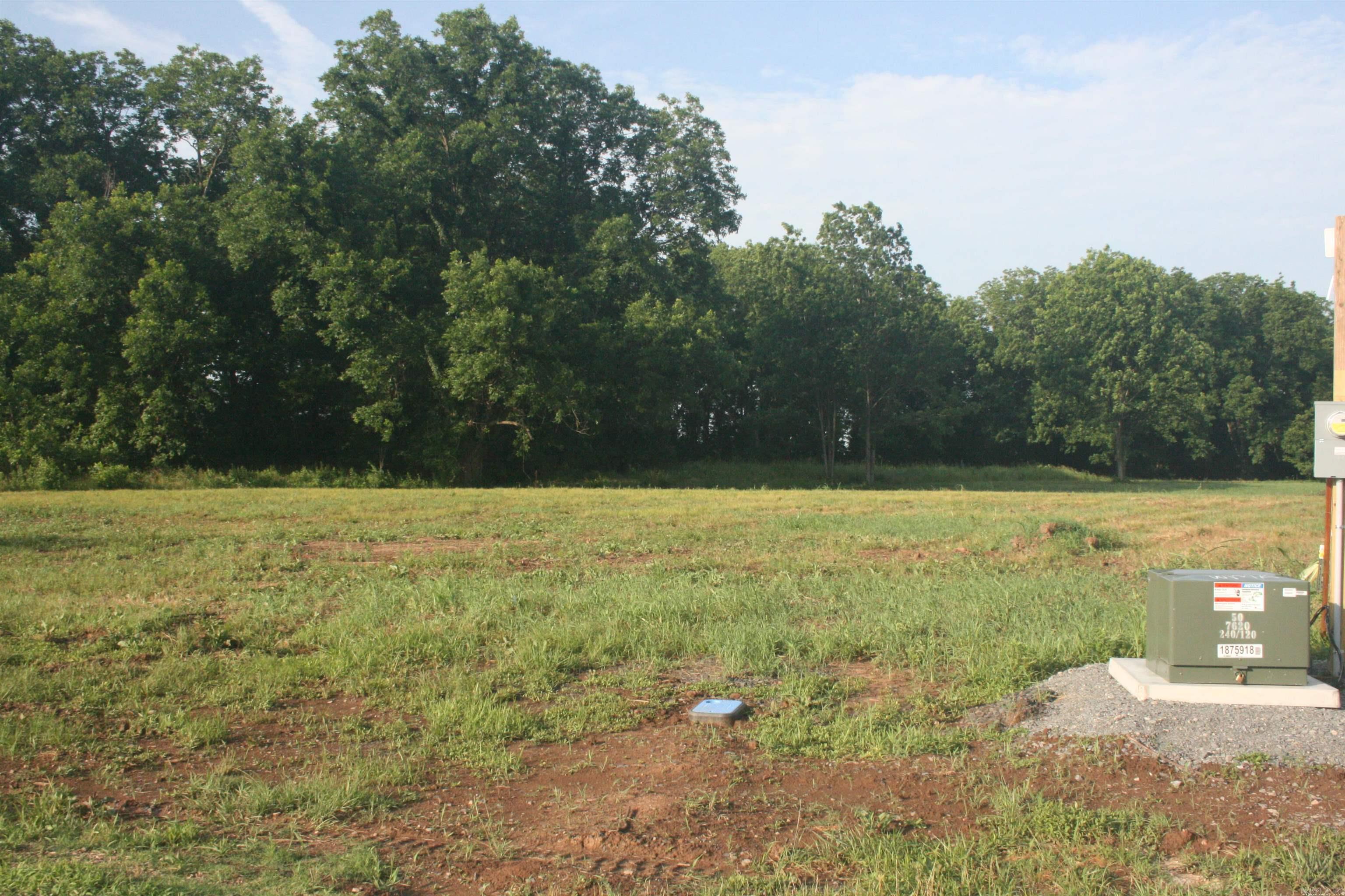 8901 Plantation Point Property Photo 6