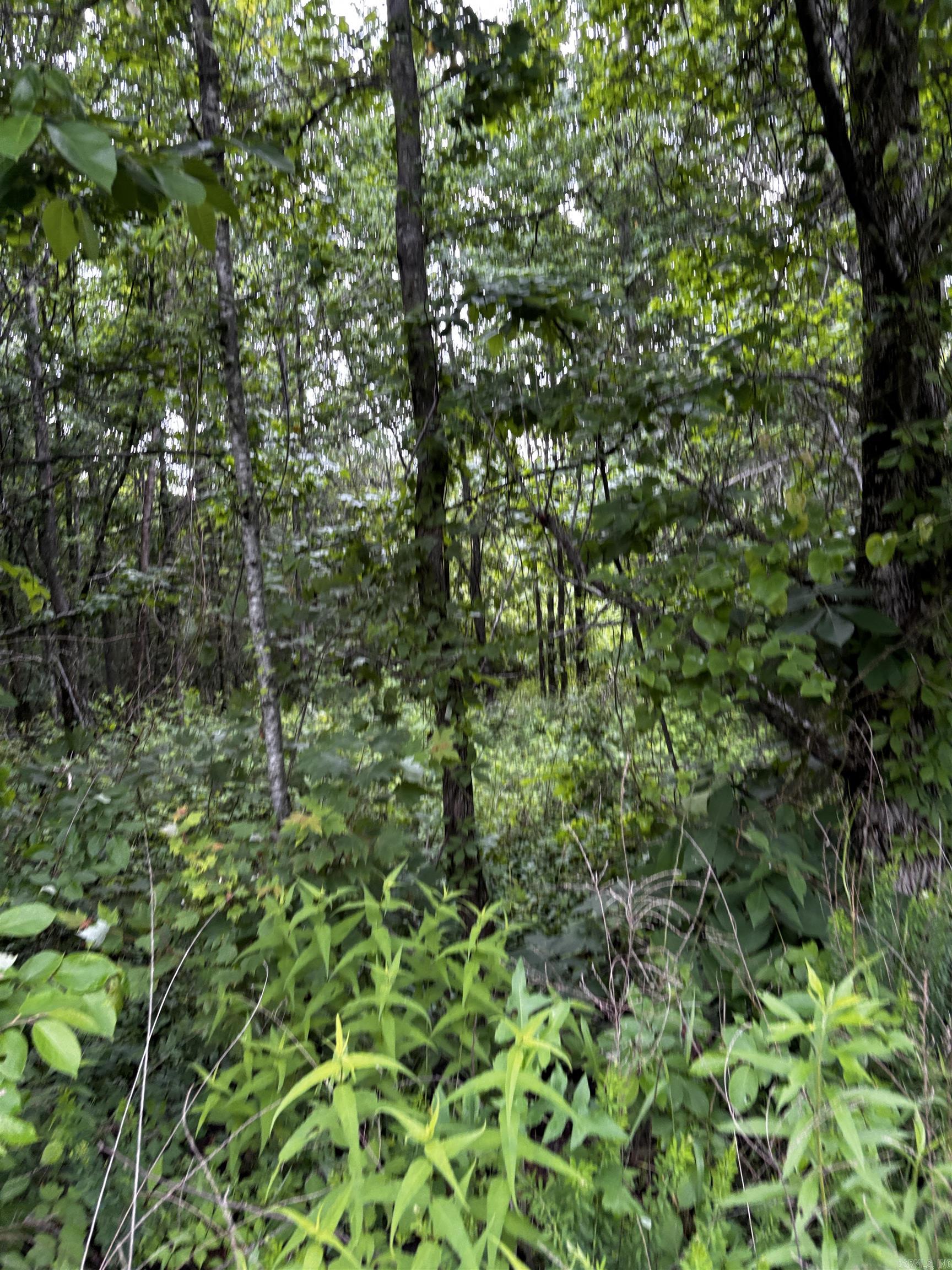 0000 N Highway 65 Property Photo 3