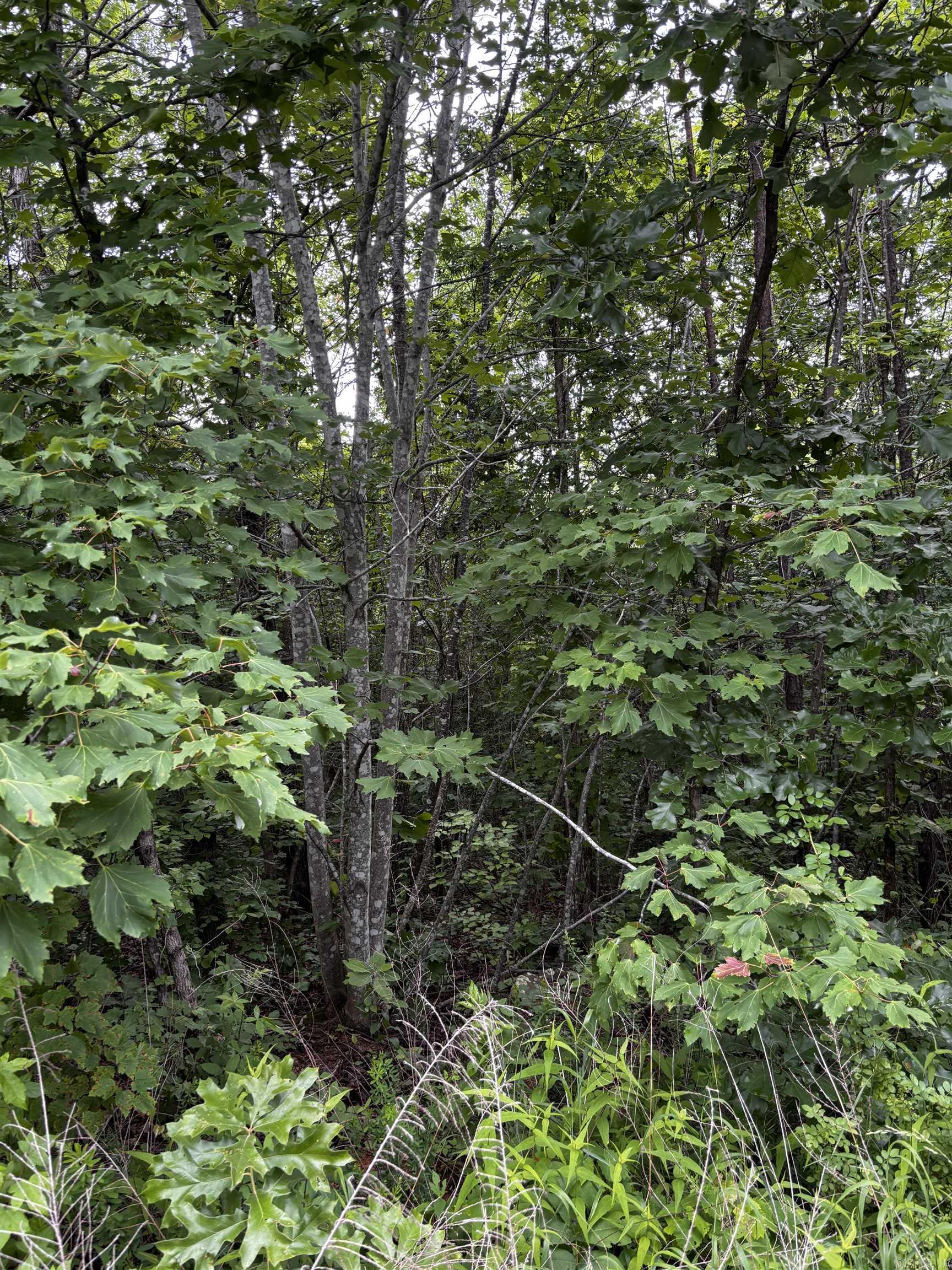 0000 N Highway 65 Property Photo 5