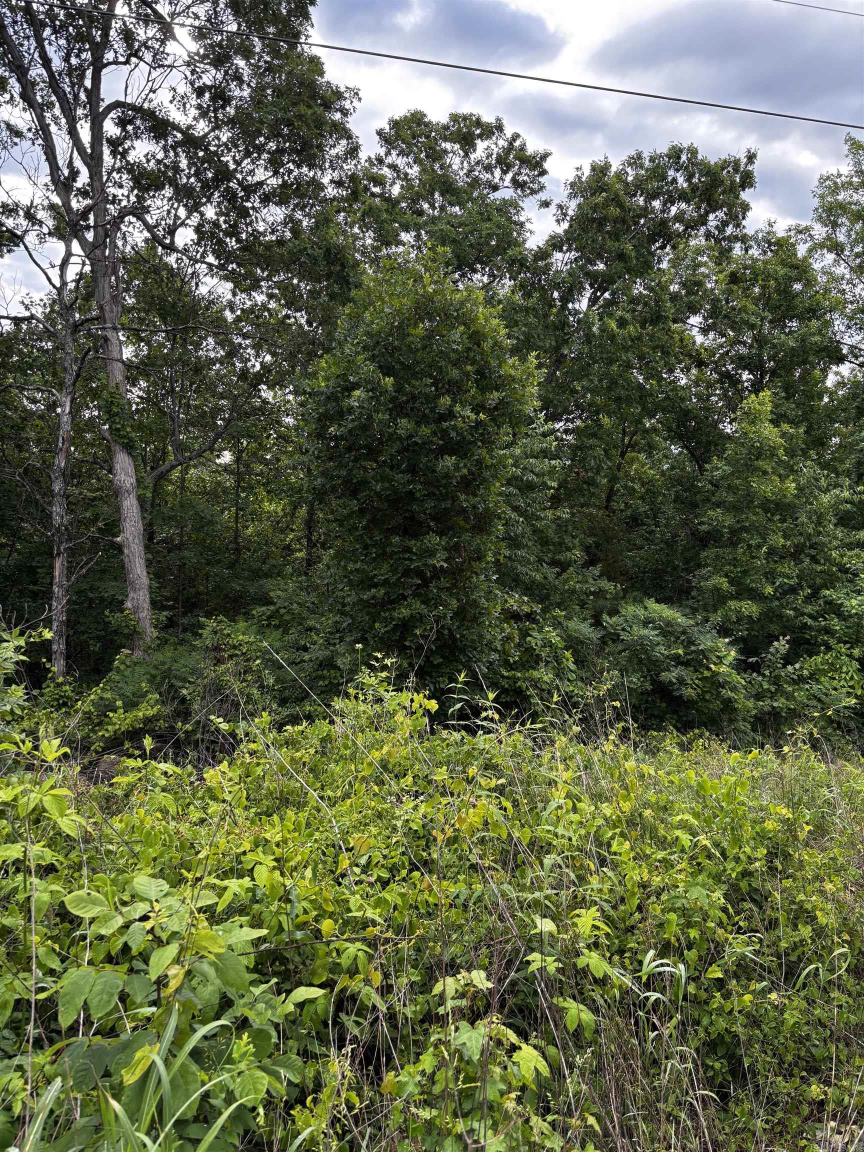 0000 N Highway 65 Property Photo 6