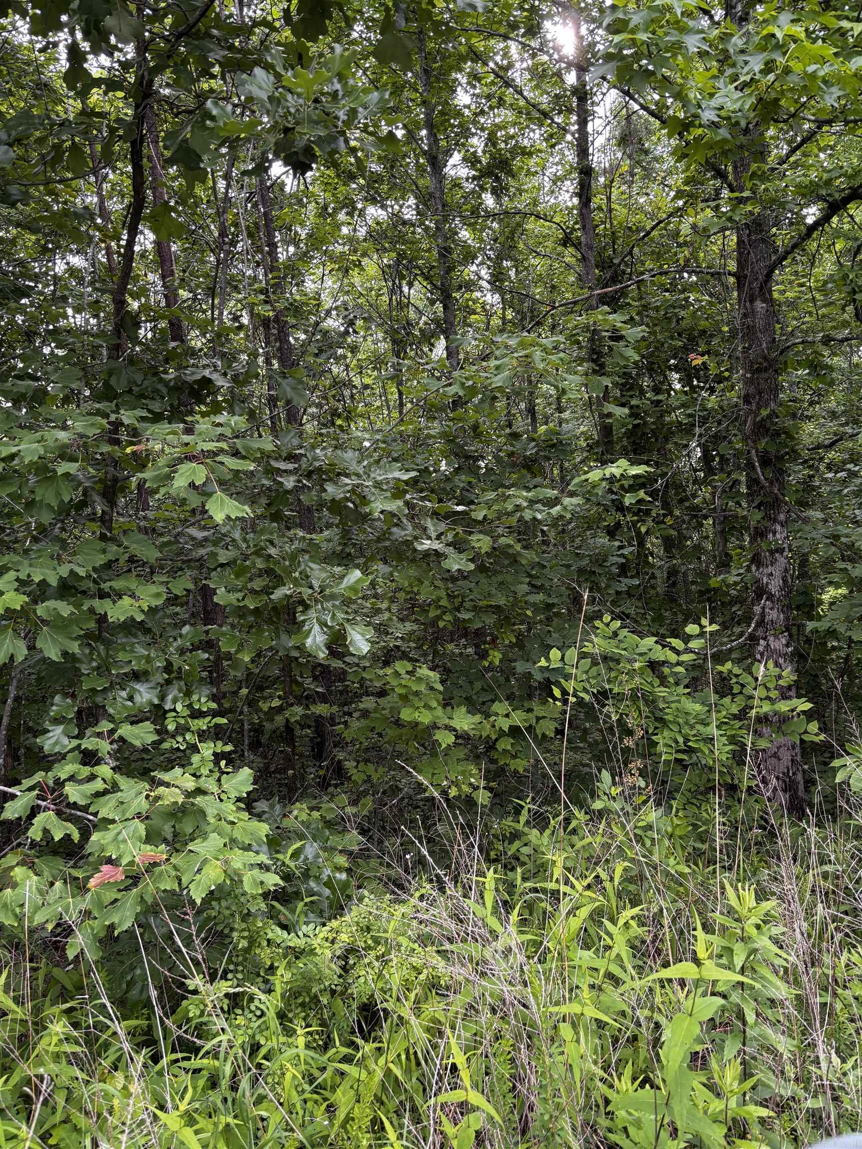 0000 N Highway 65 Property Photo 7