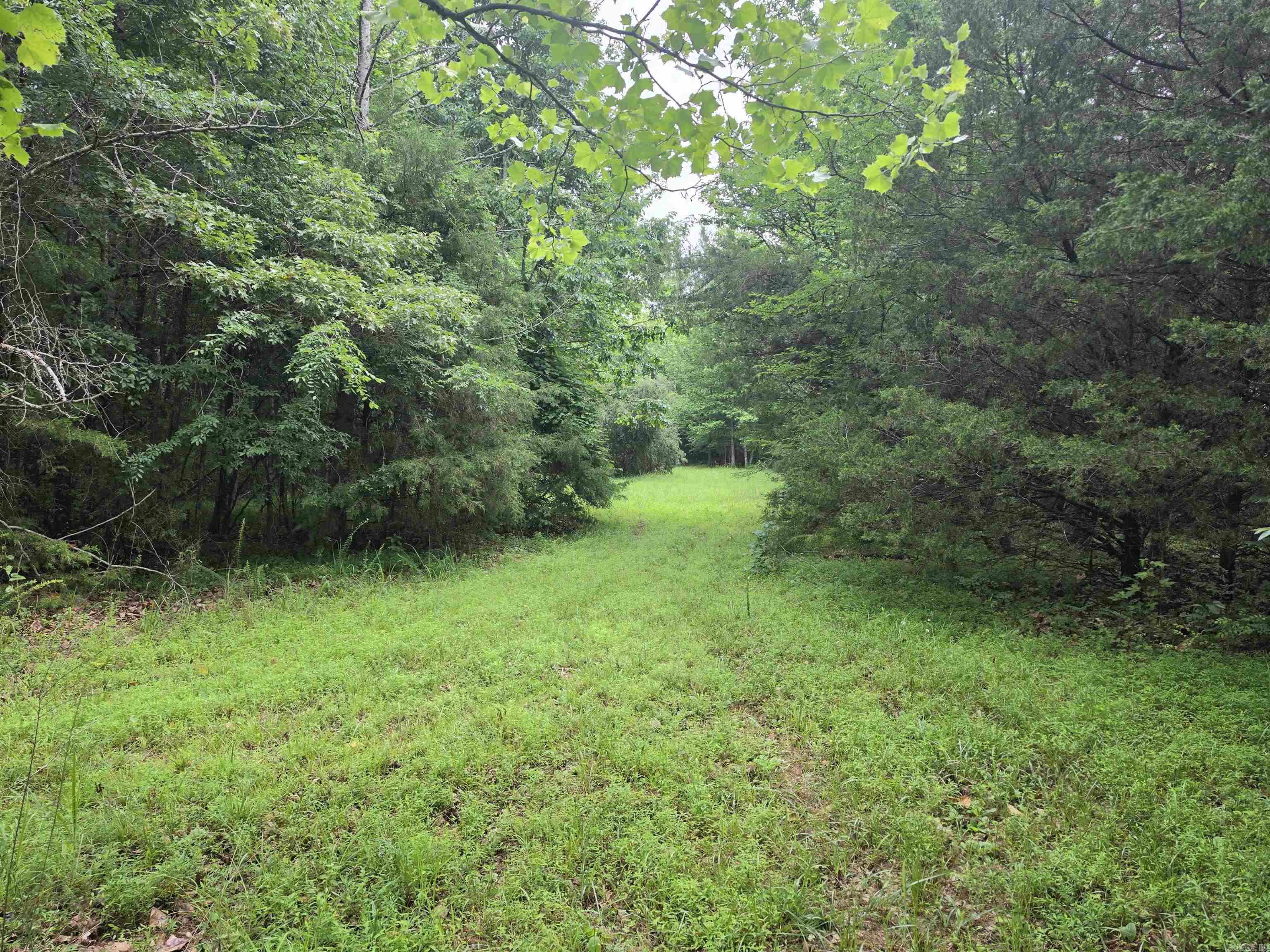 38 Allen Road Property Photo 45