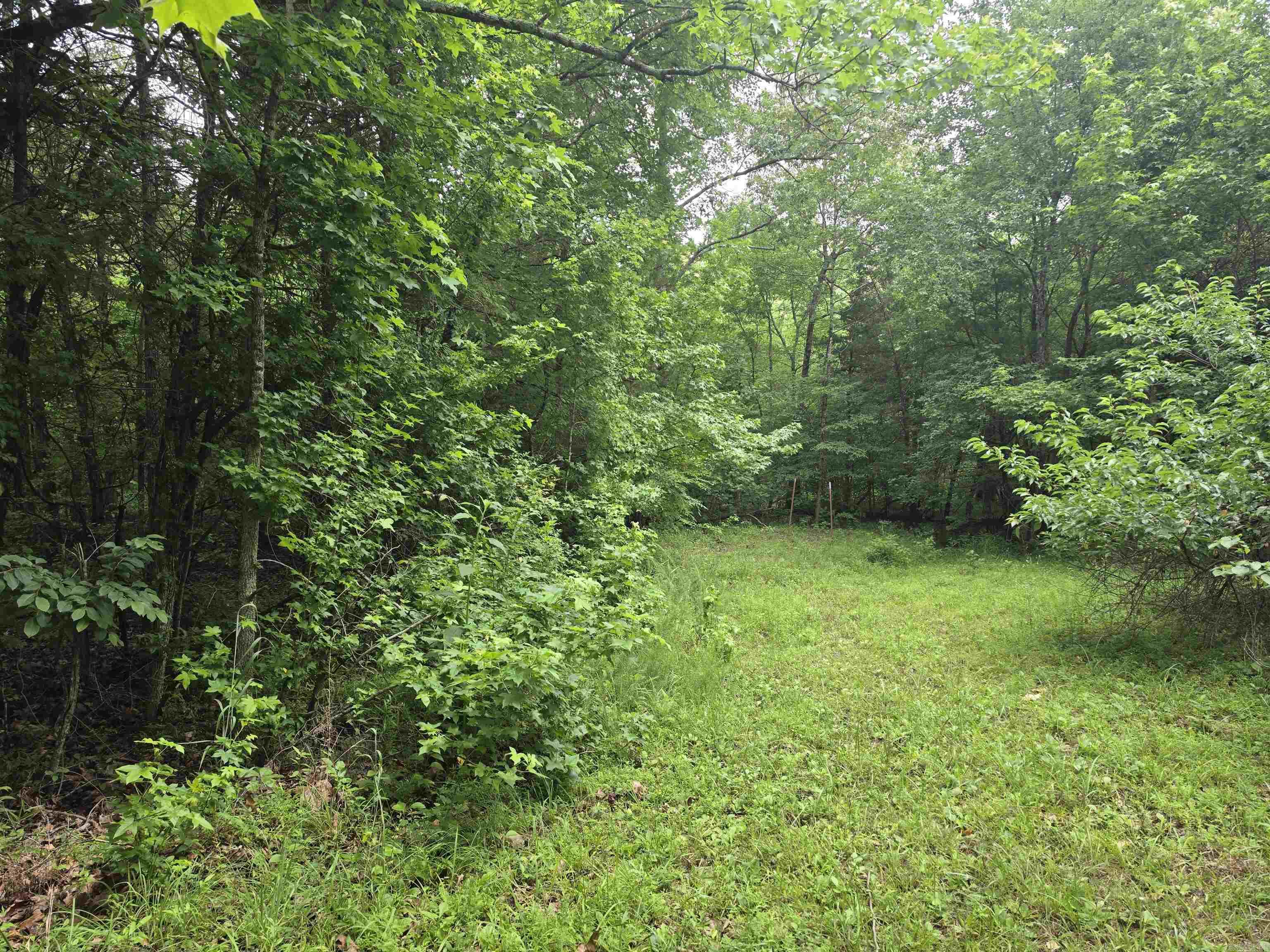 38 Allen Road Property Photo 46