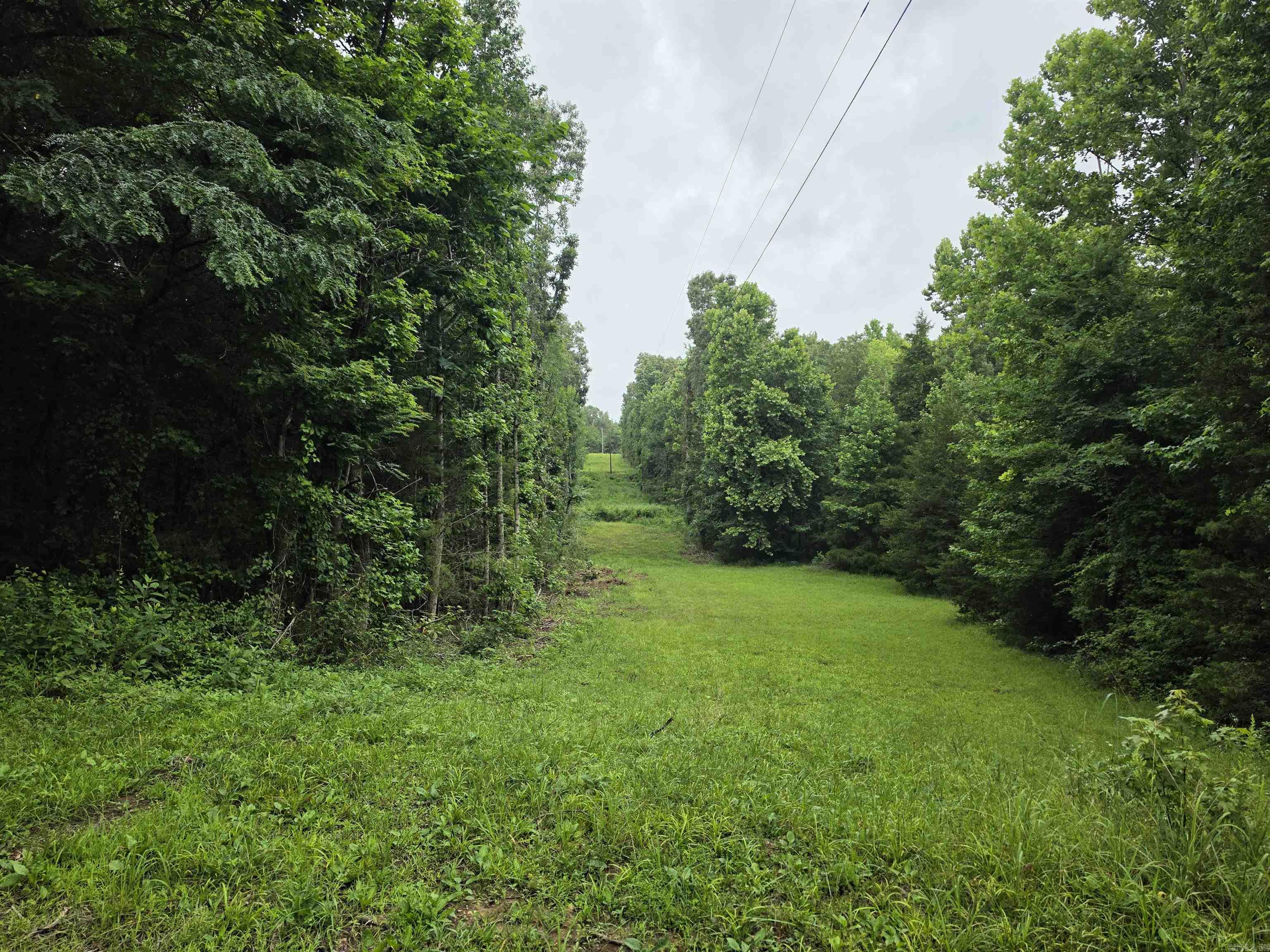 38 Allen Road Property Photo 49