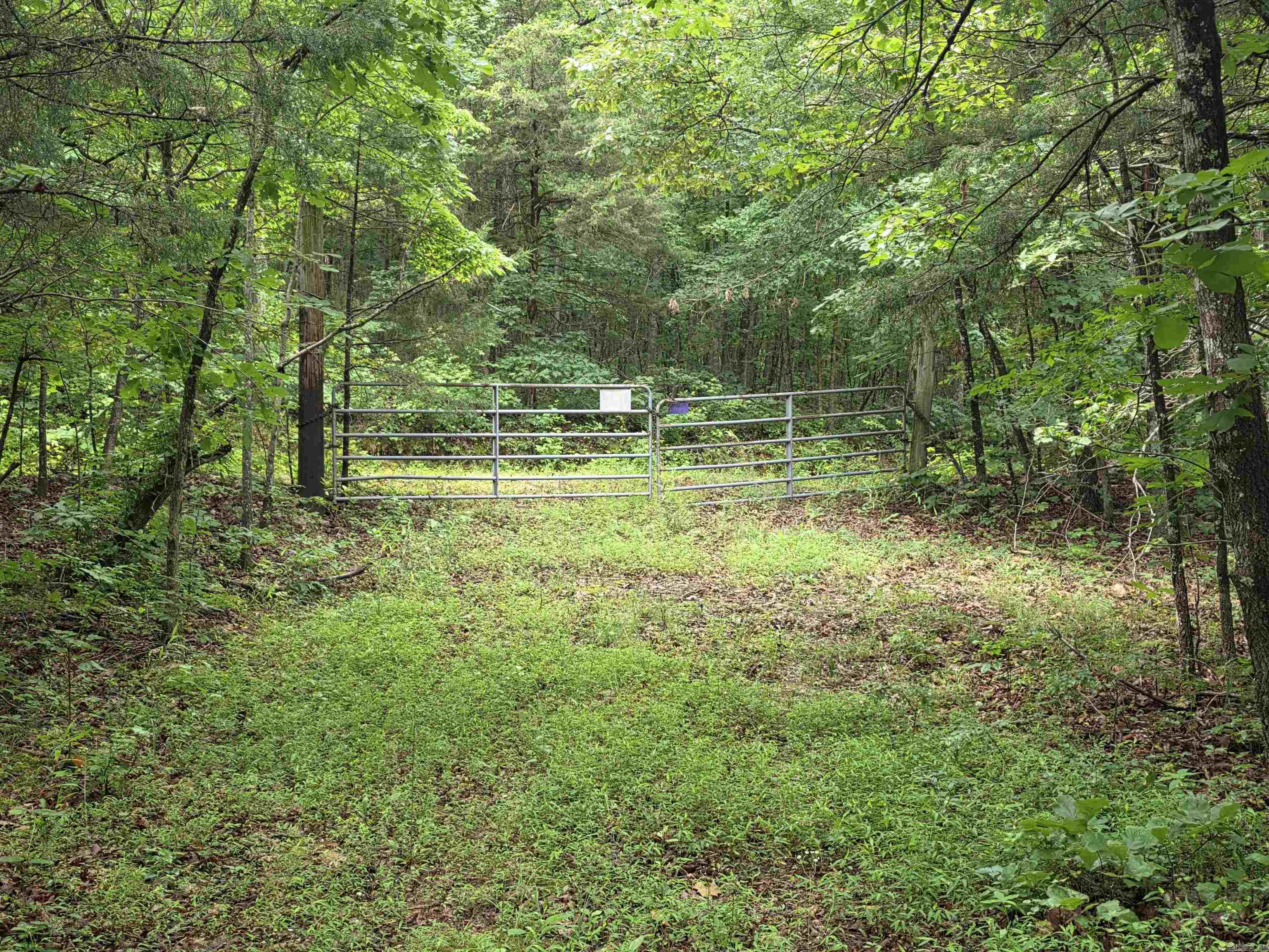 38 Allen Road Property Photo 50