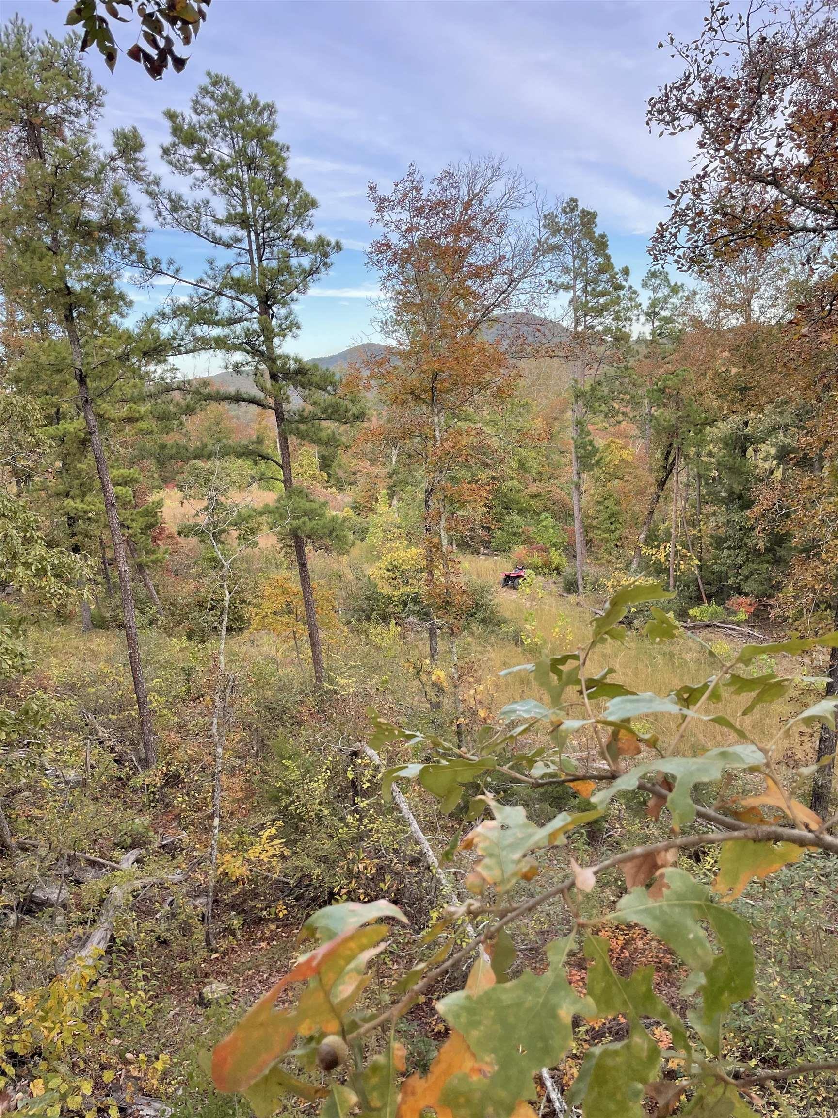 850 Jones Cemetery Road Property Photo 2