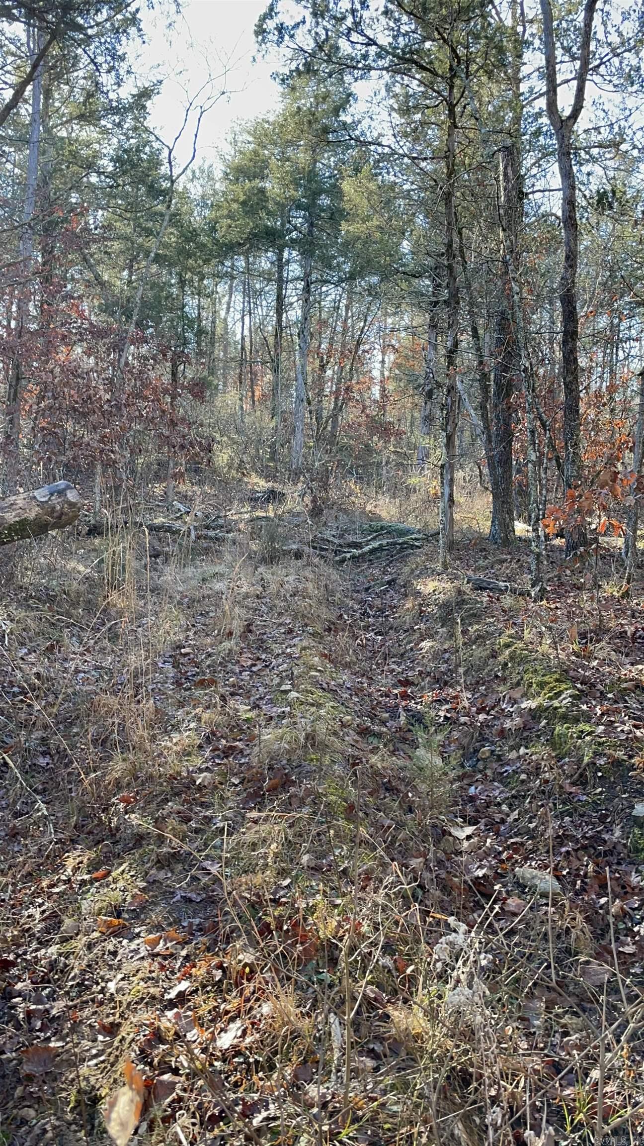 850 Jones Cemetery Road Property Photo 3