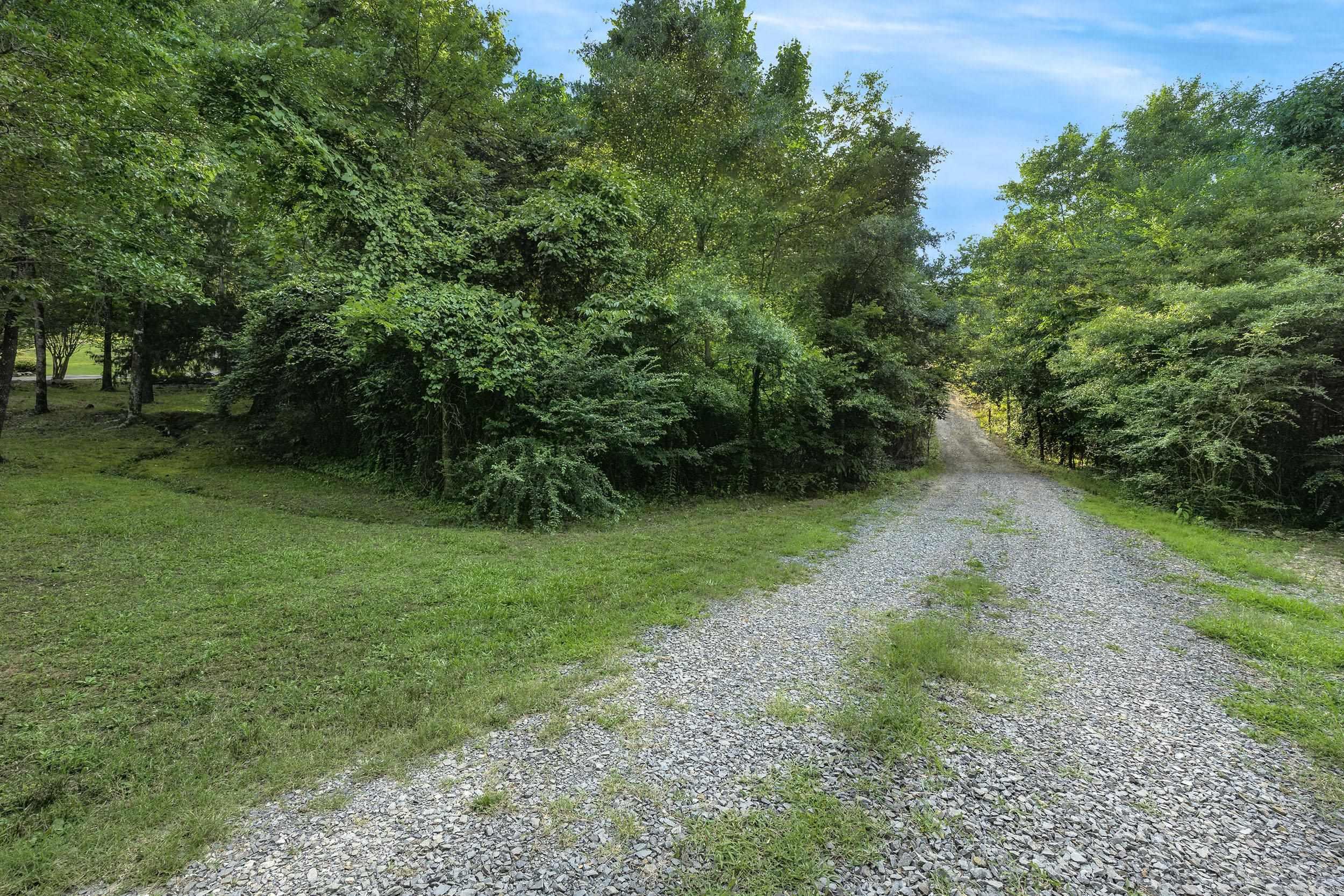 15625 Highway 300 Property Photo 9