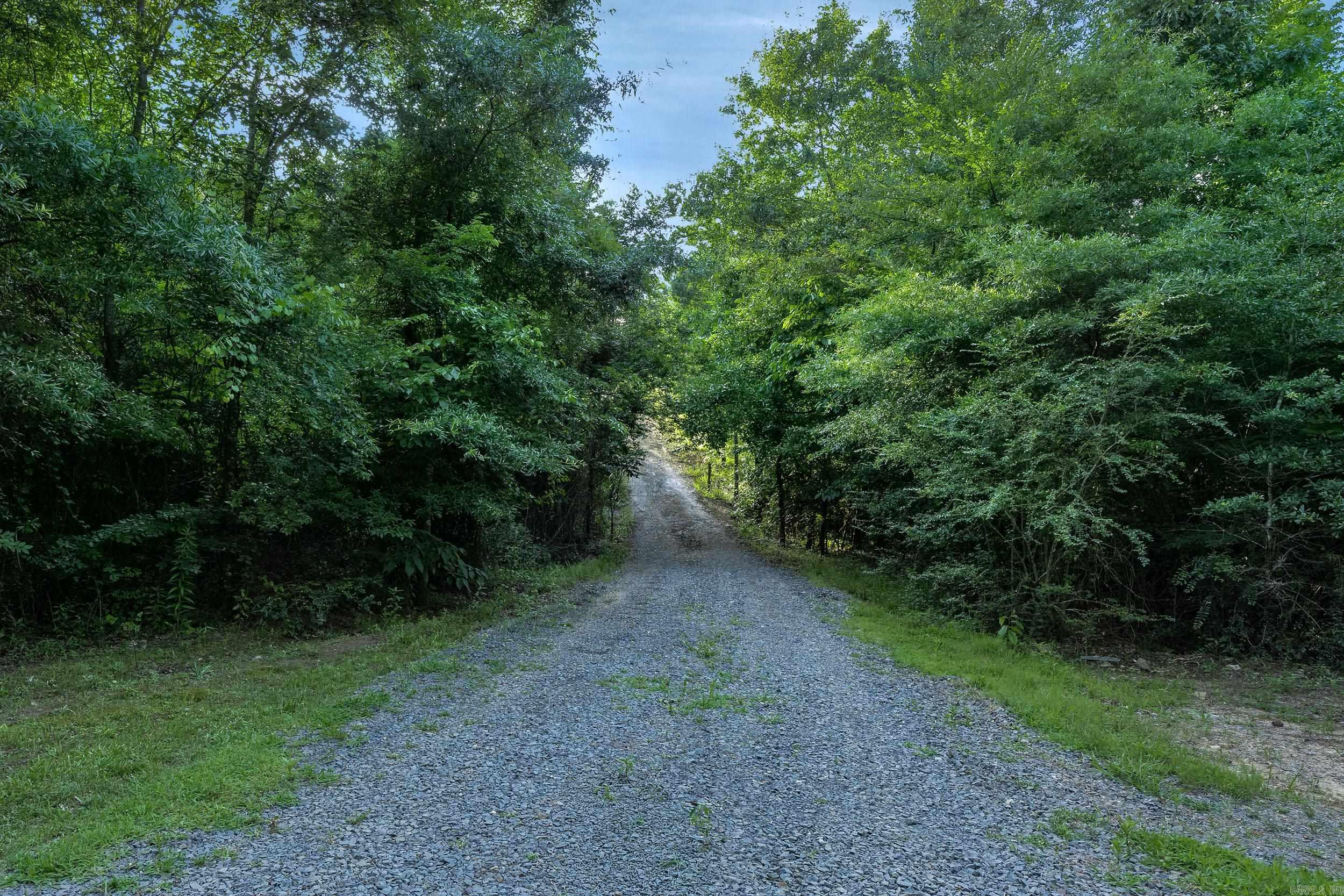 15625 Highway 300 Property Photo 10