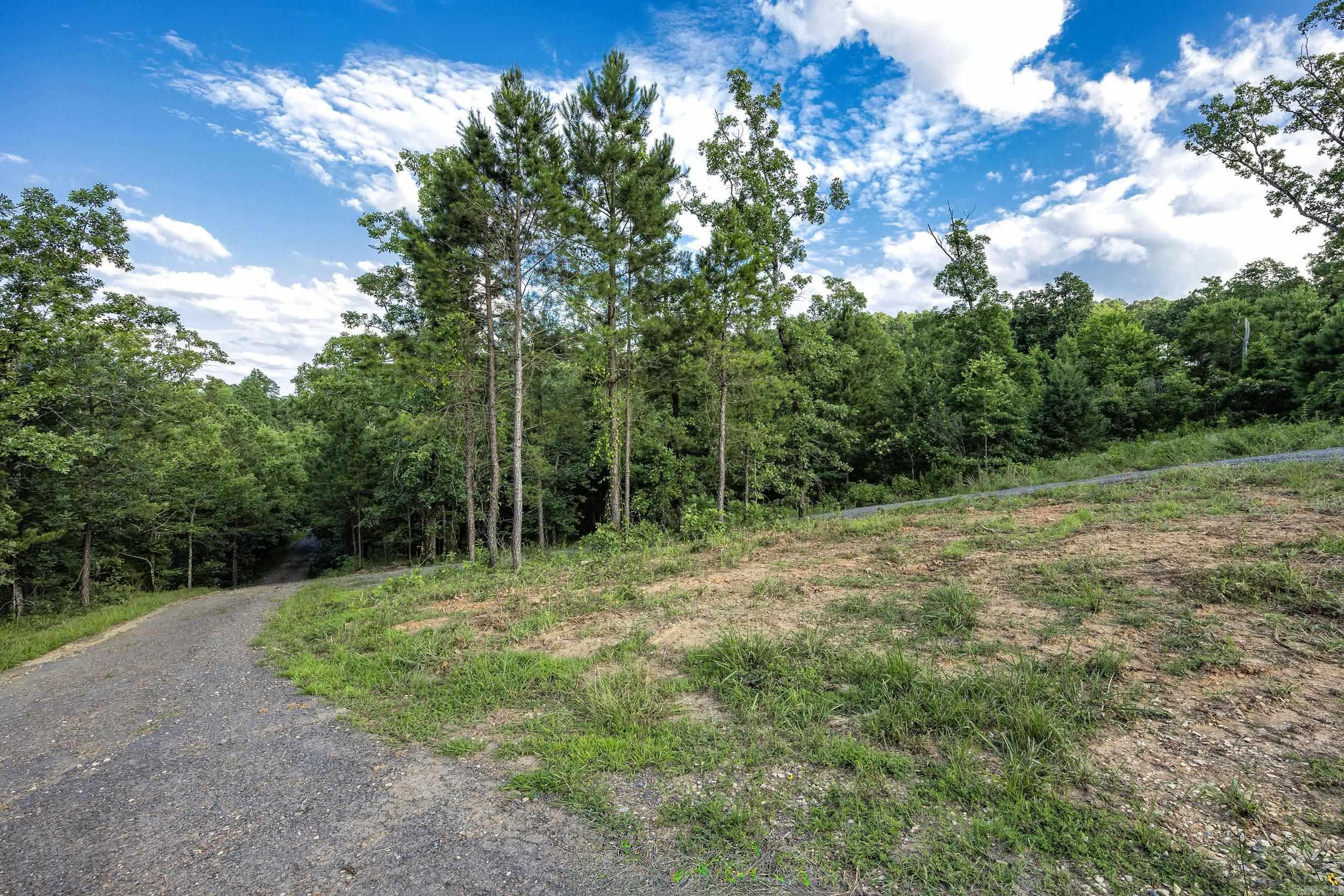 15625 Highway 300 Property Photo 11