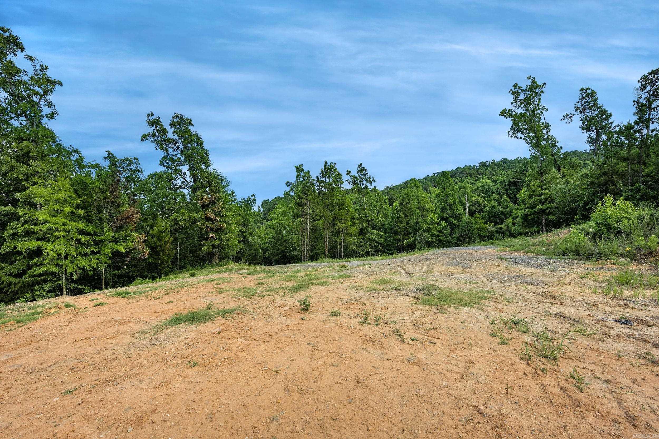 15625 Highway 300 Property Photo 14