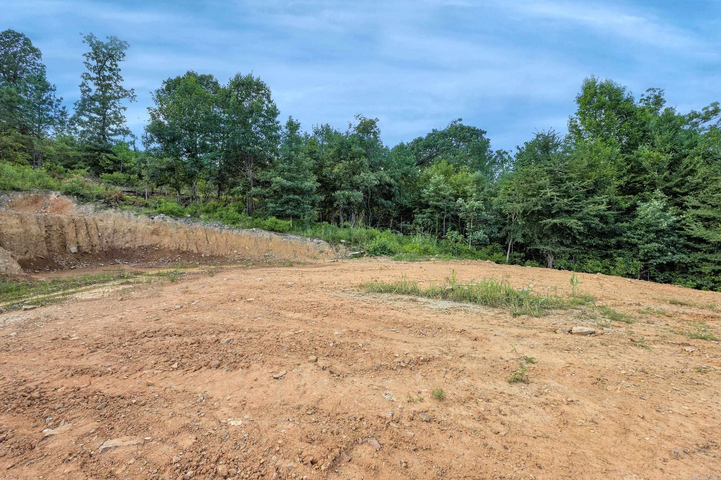15625 Highway 300 Property Photo 15