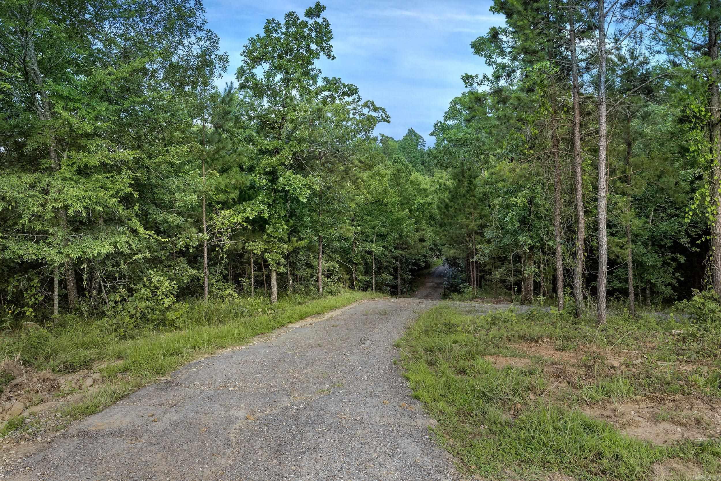 15625 Highway 300 Property Photo 17
