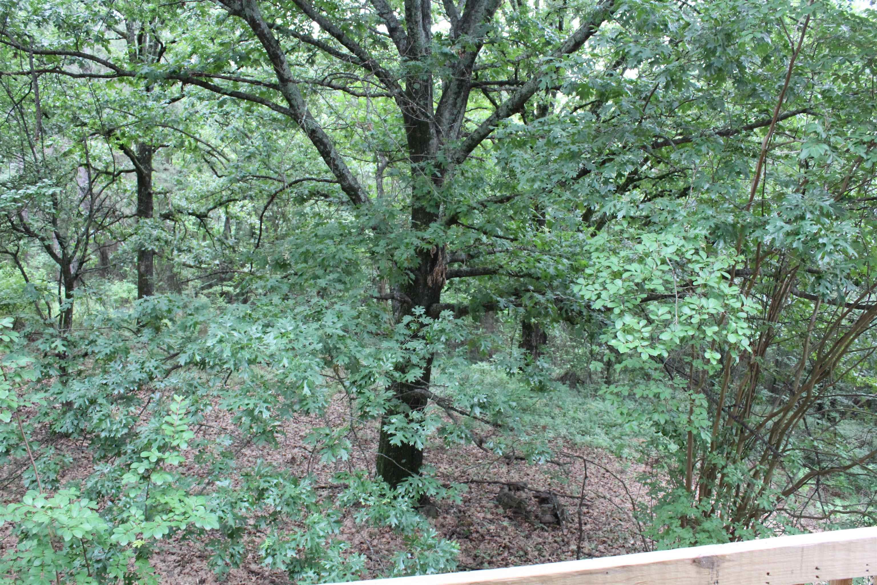 2729 3348 Property Photo 38