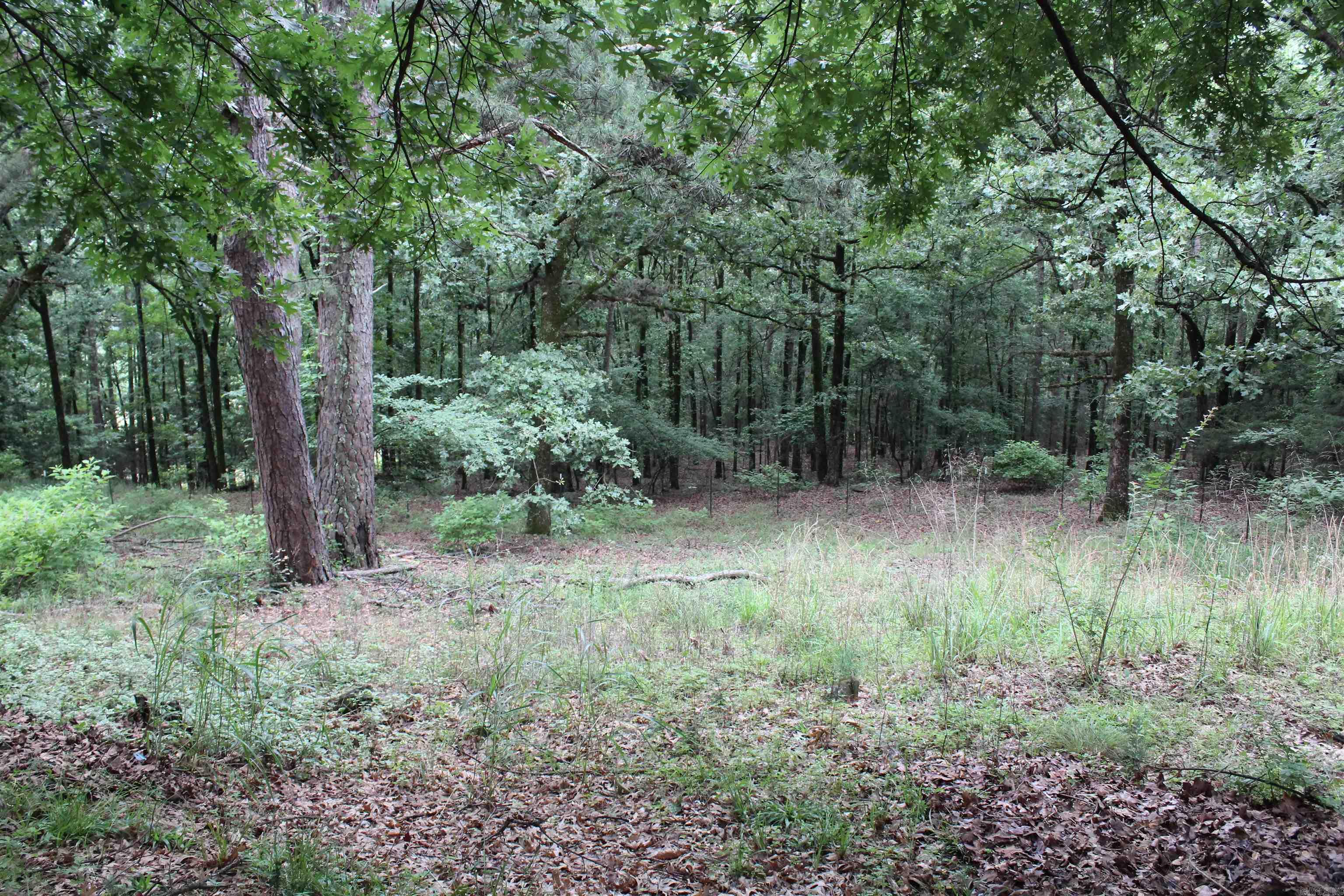 2729 3348 Property Photo 41