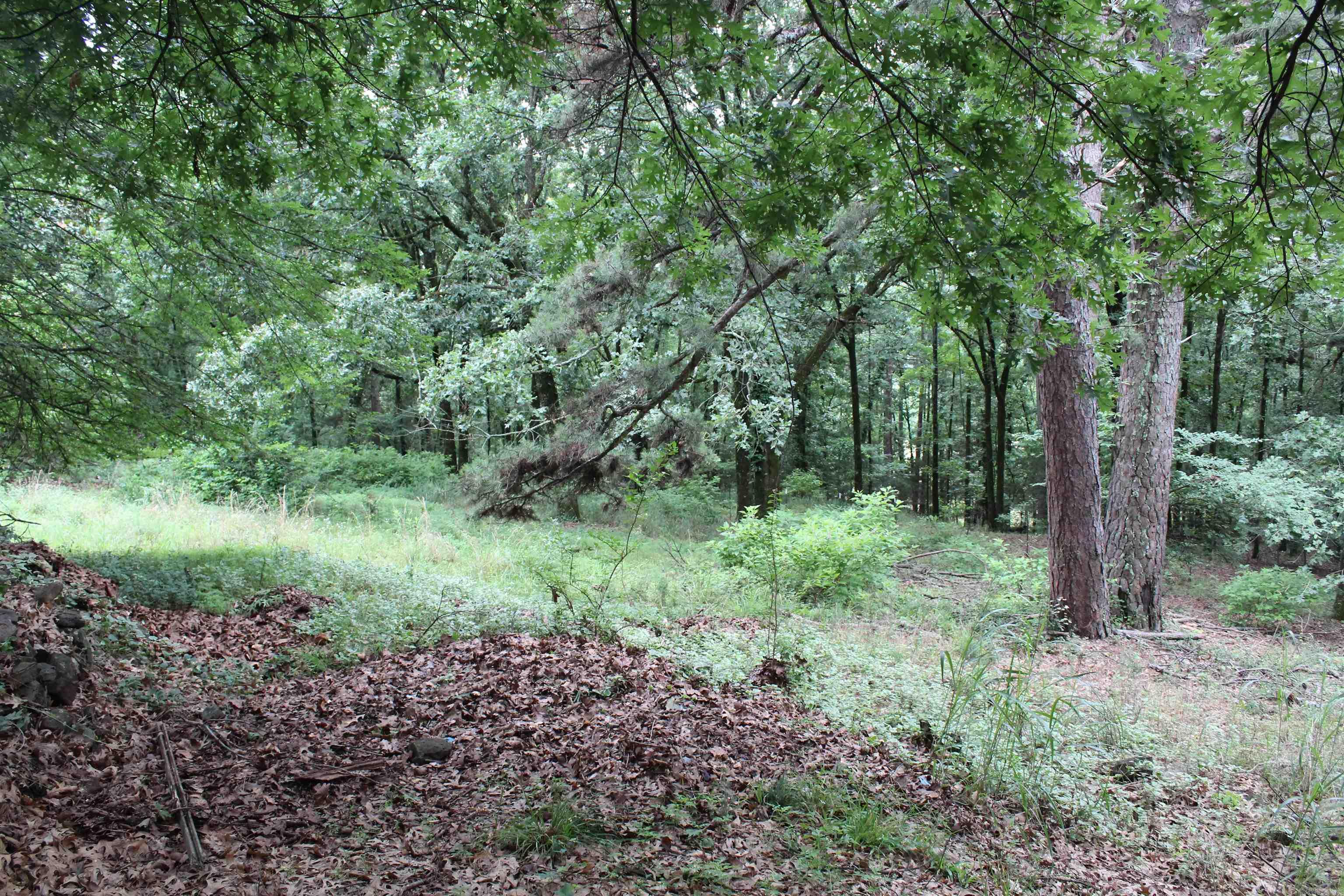 2729 3348 Property Photo 42