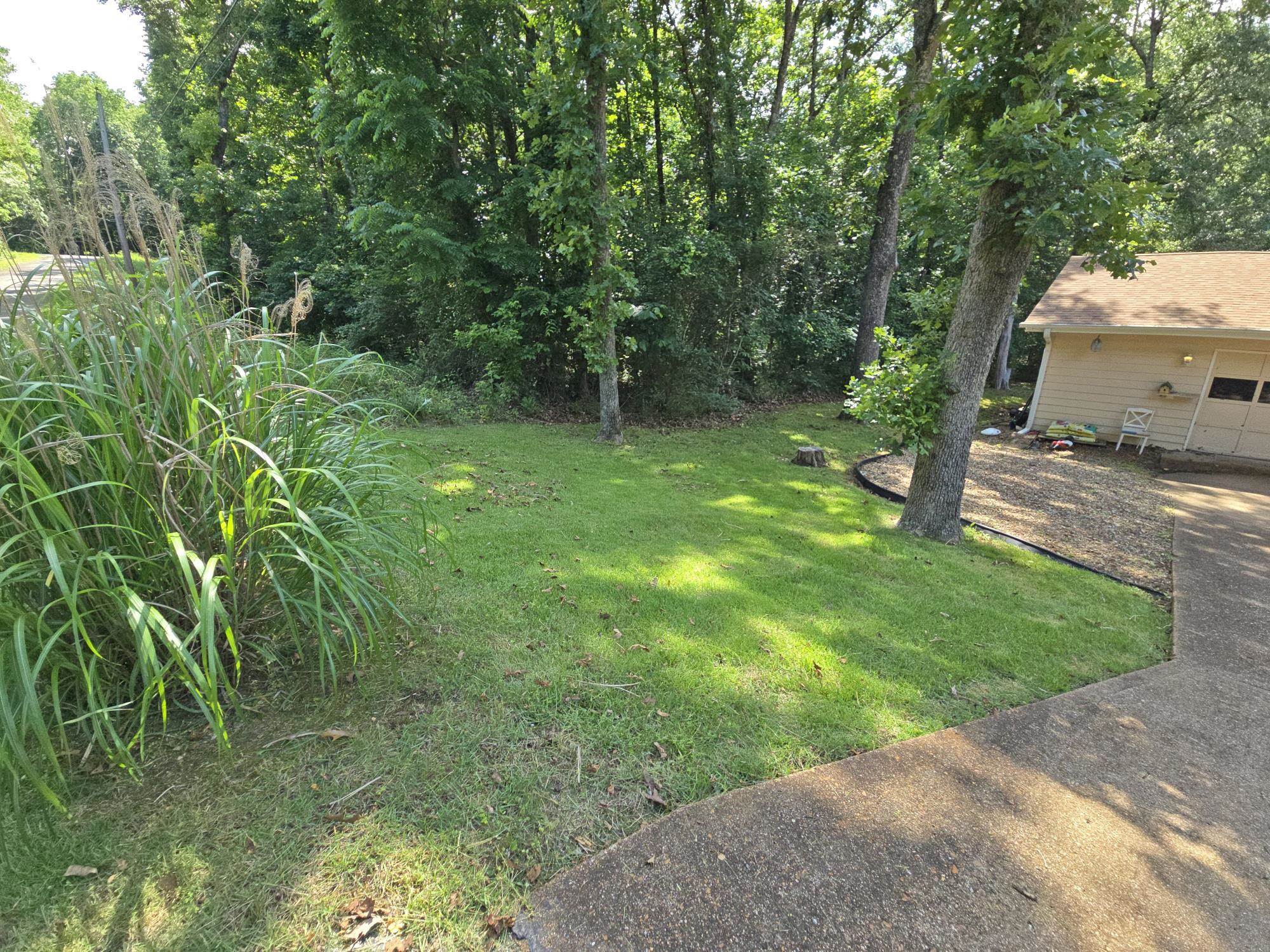 31 Chacoto Drive Property Photo 3