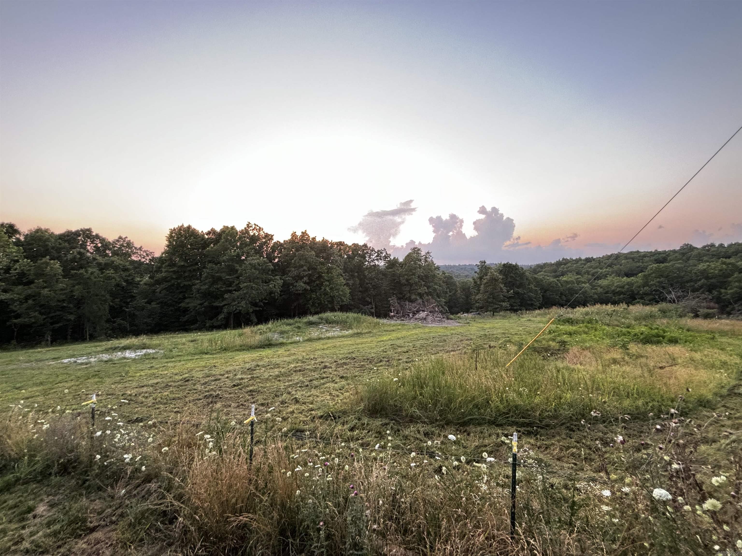 1717 Grassy Road Property Photo 2