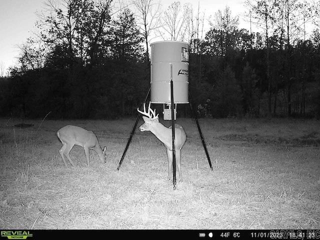1717 Grassy Road Property Photo 13
