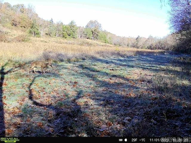 1717 Grassy Road Property Photo 15