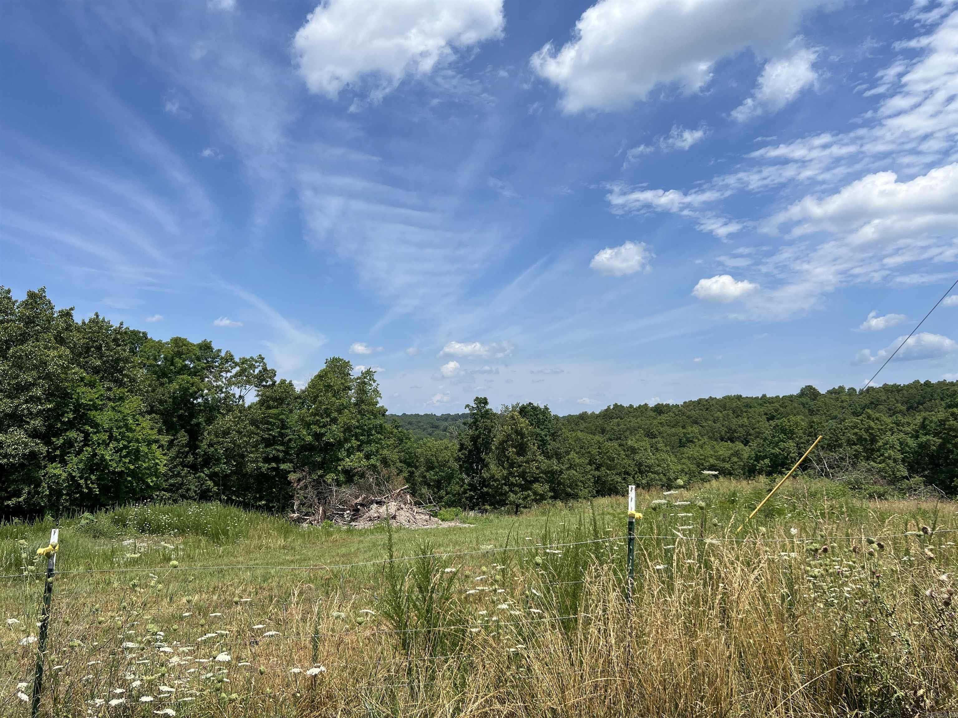 1717 Grassy Road Property Photo 18