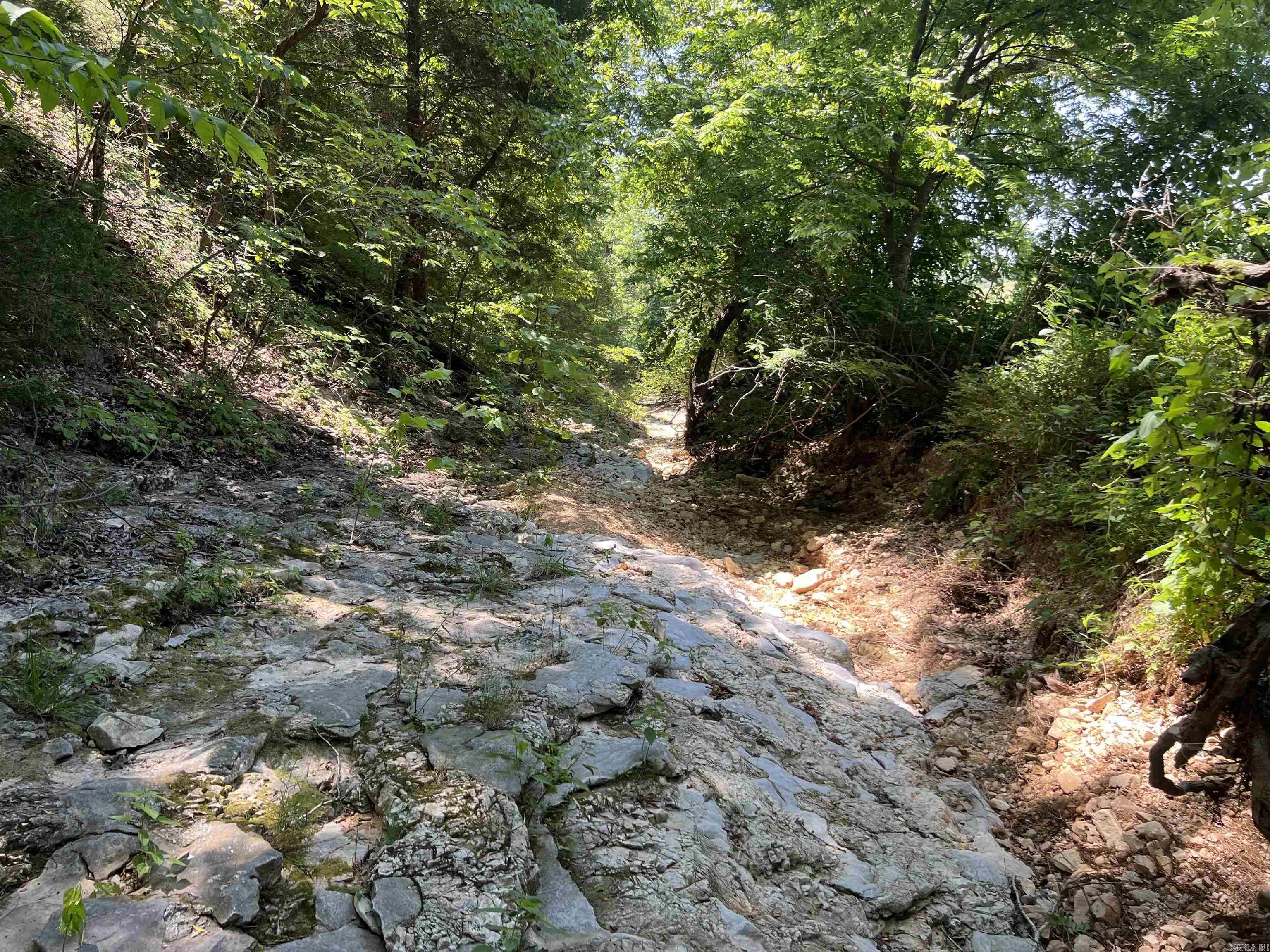 1717 Grassy Road Property Photo 20