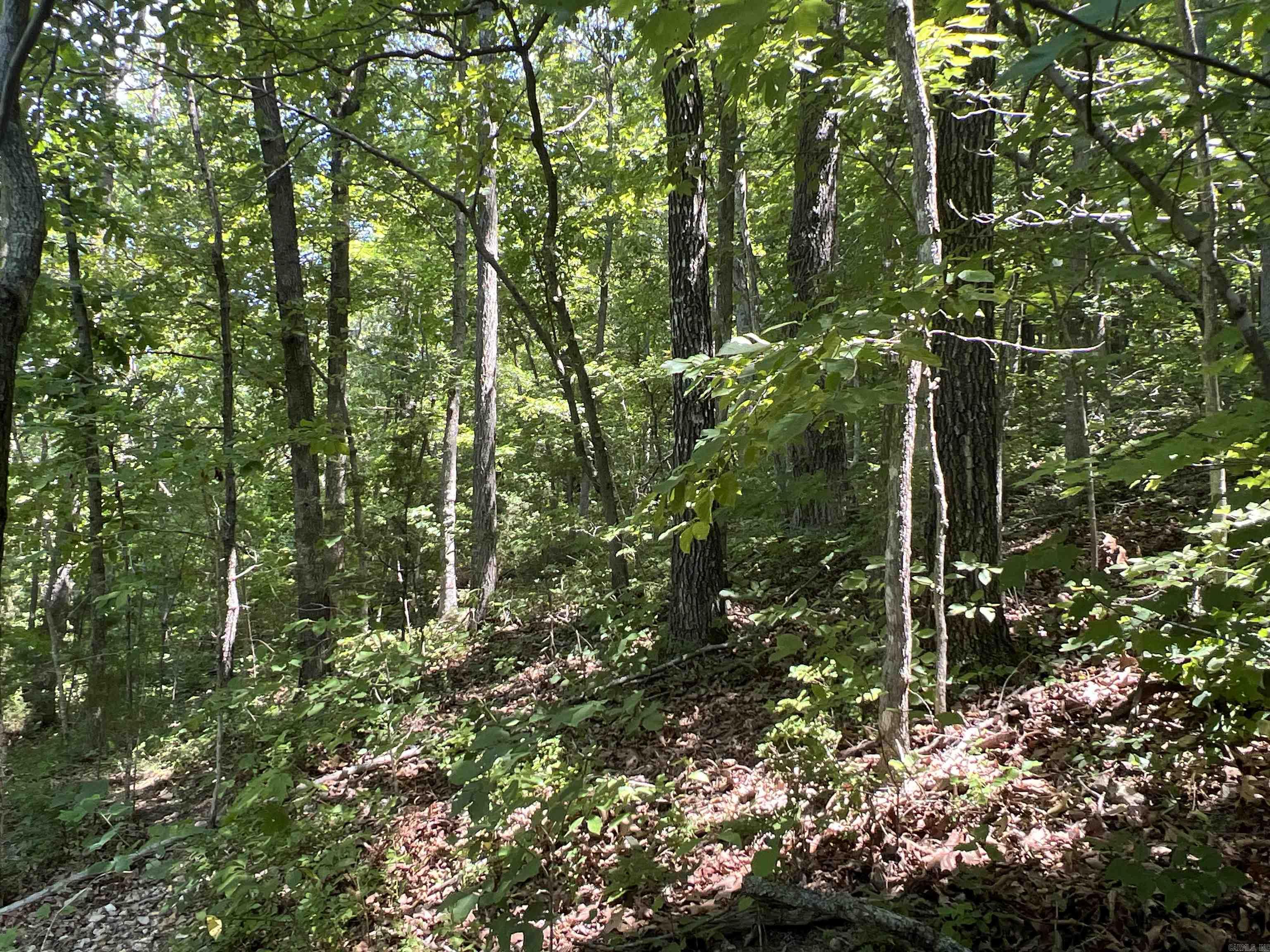 1717 Grassy Road Property Photo 26