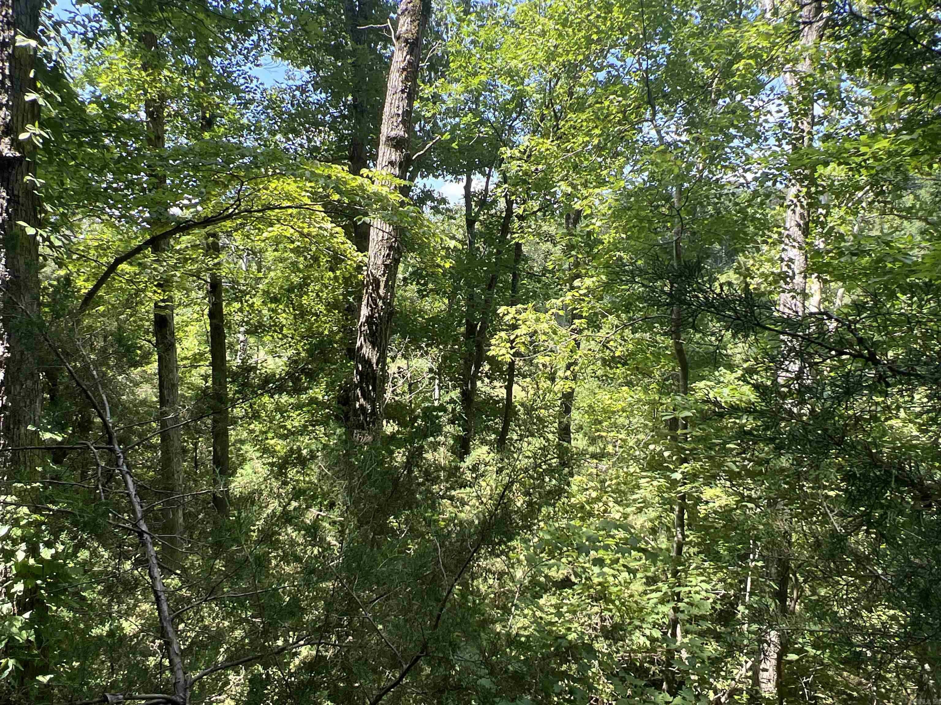 1717 Grassy Road Property Photo 27