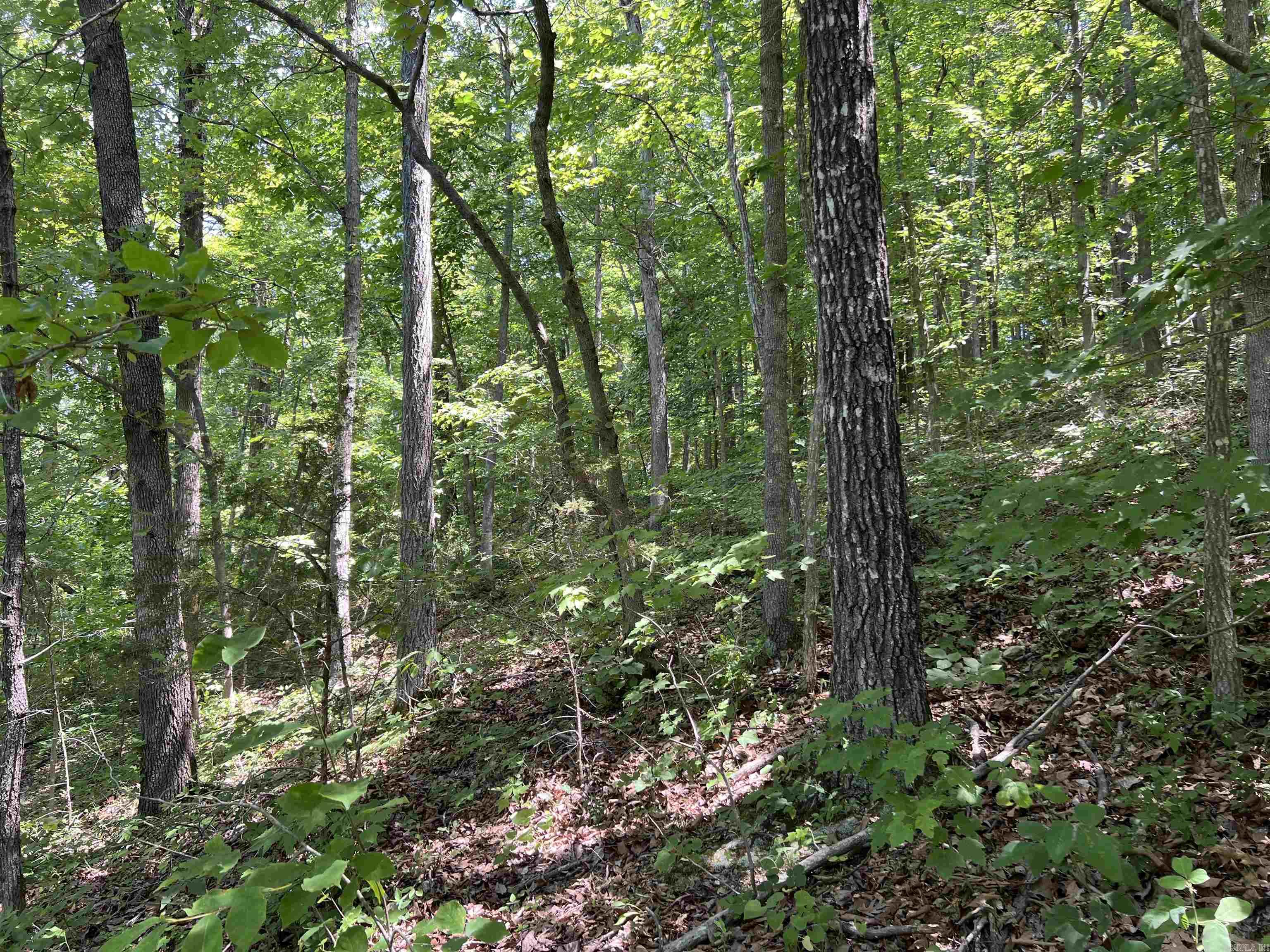 1717 Grassy Road Property Photo 28