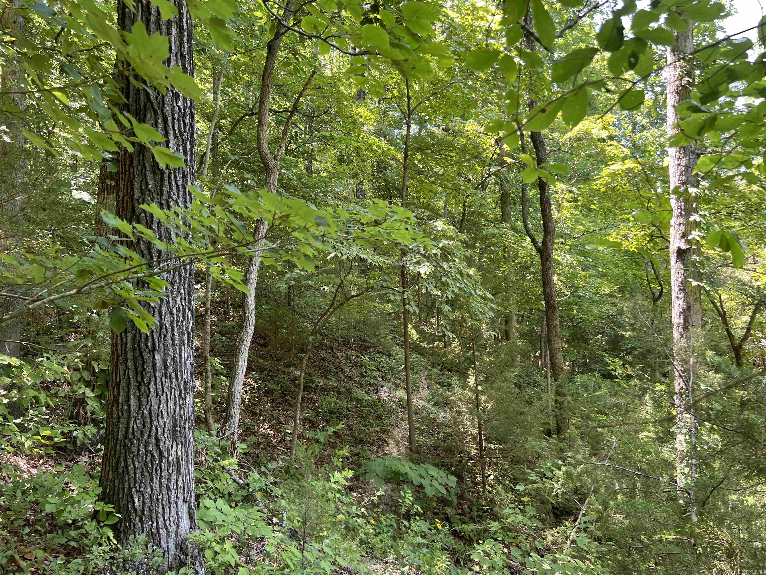 1717 Grassy Road Property Photo 30