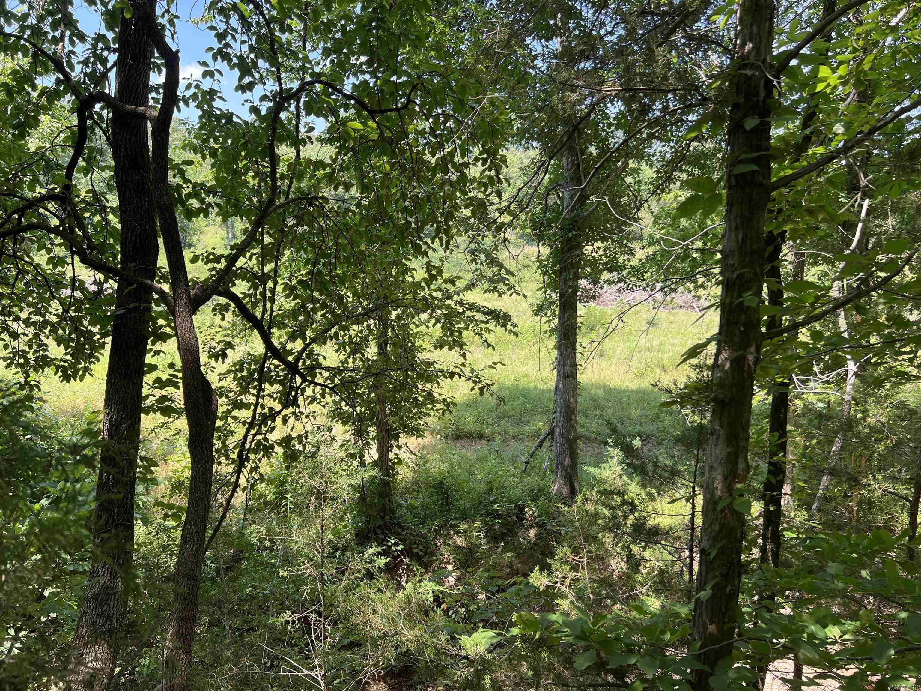 1717 Grassy Road Property Photo 31