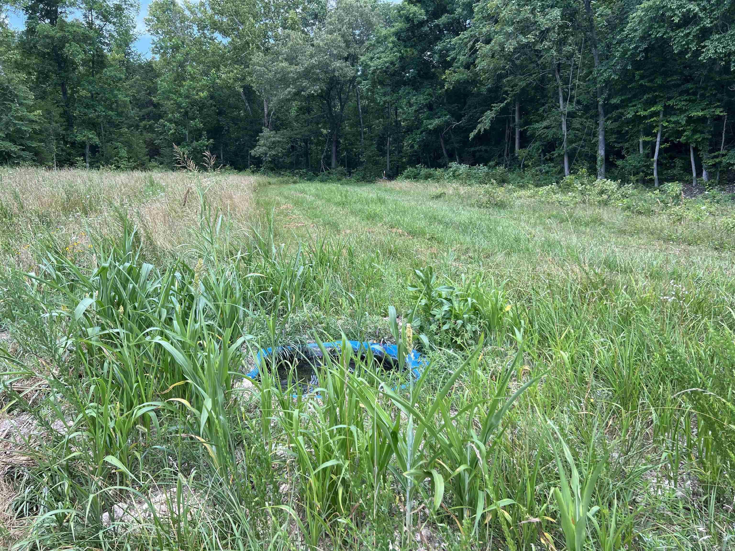 1717 Grassy Road Property Photo 33