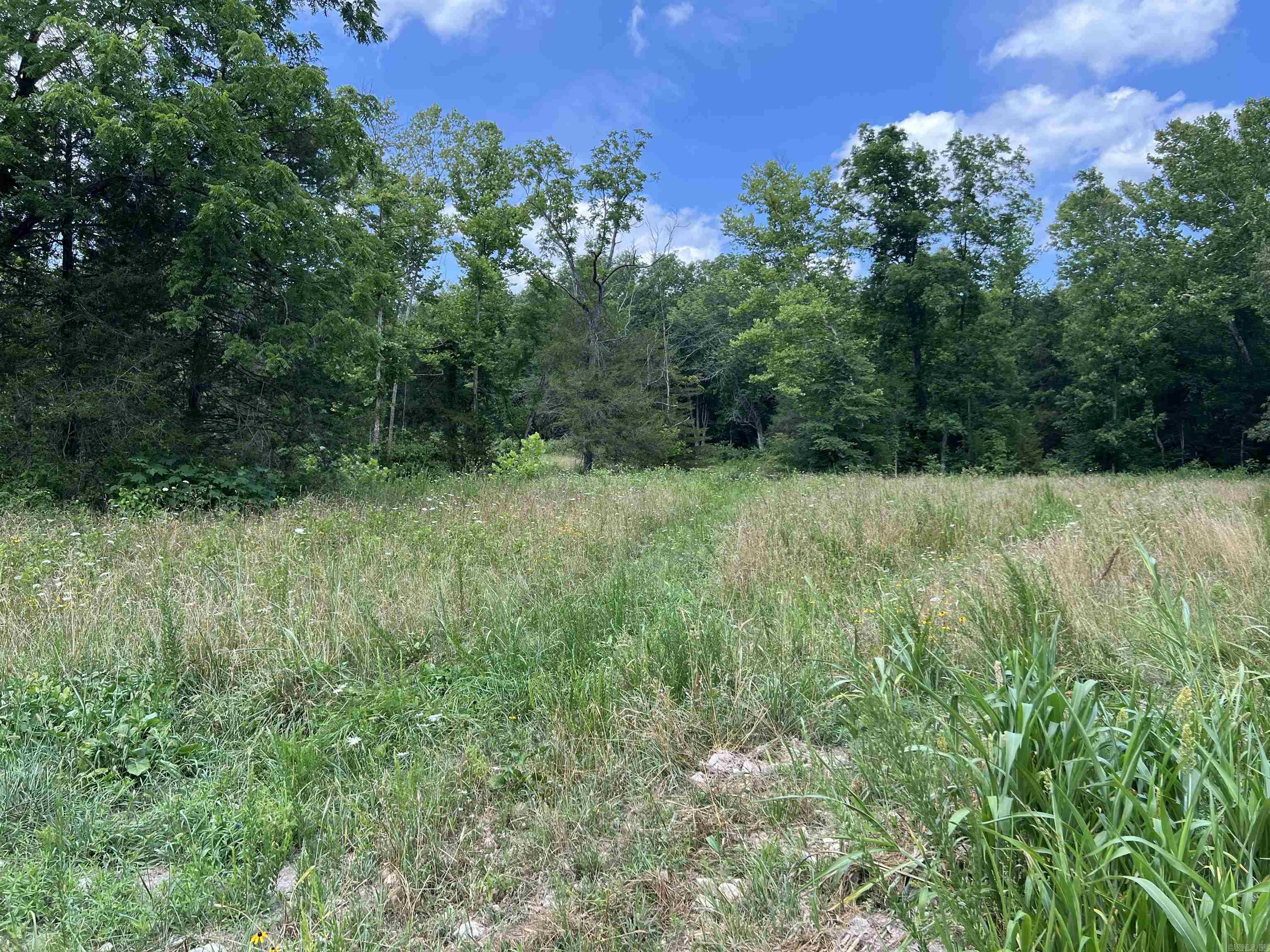 1717 Grassy Road Property Photo 34
