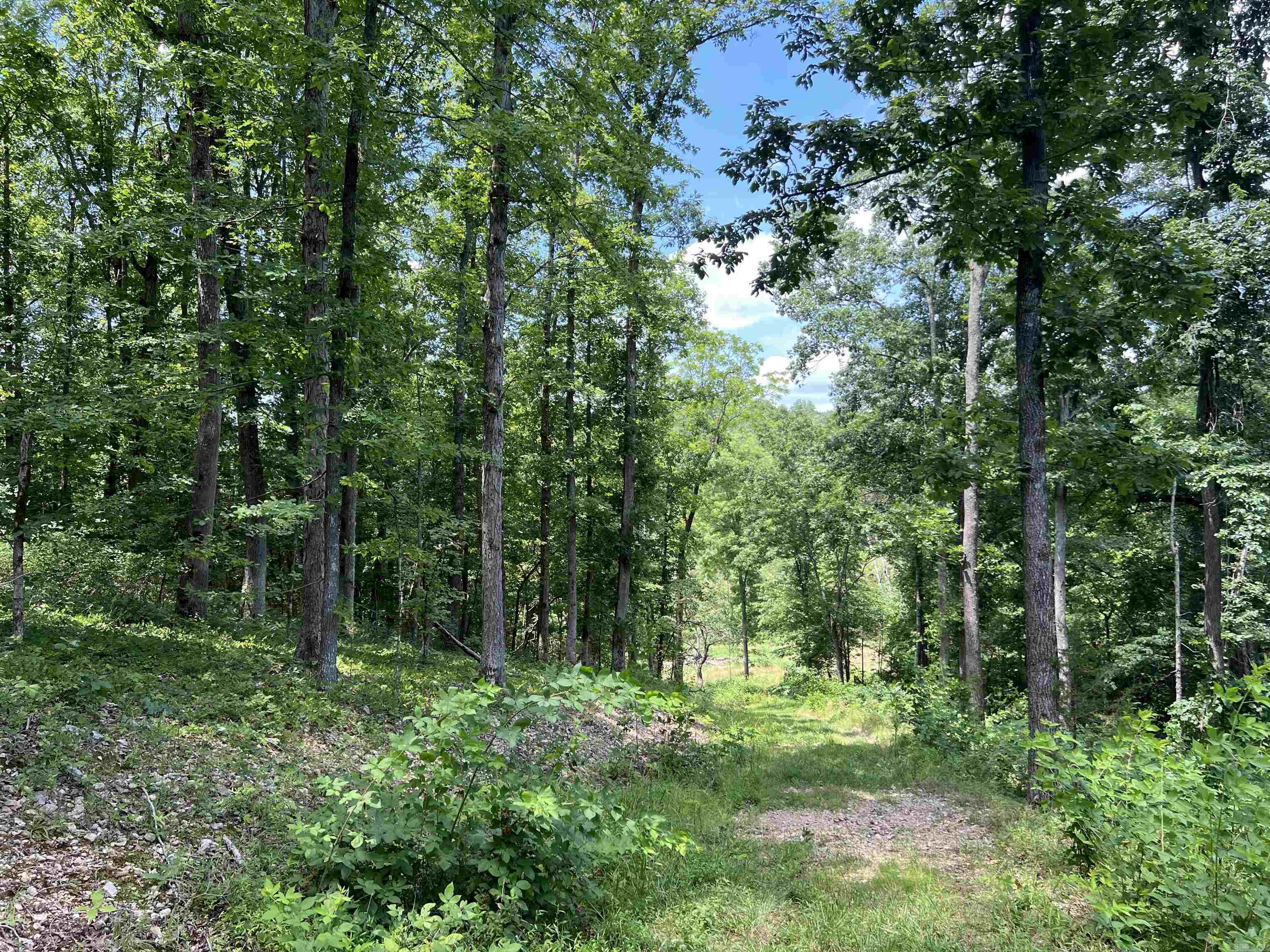 1717 Grassy Road Property Photo 35