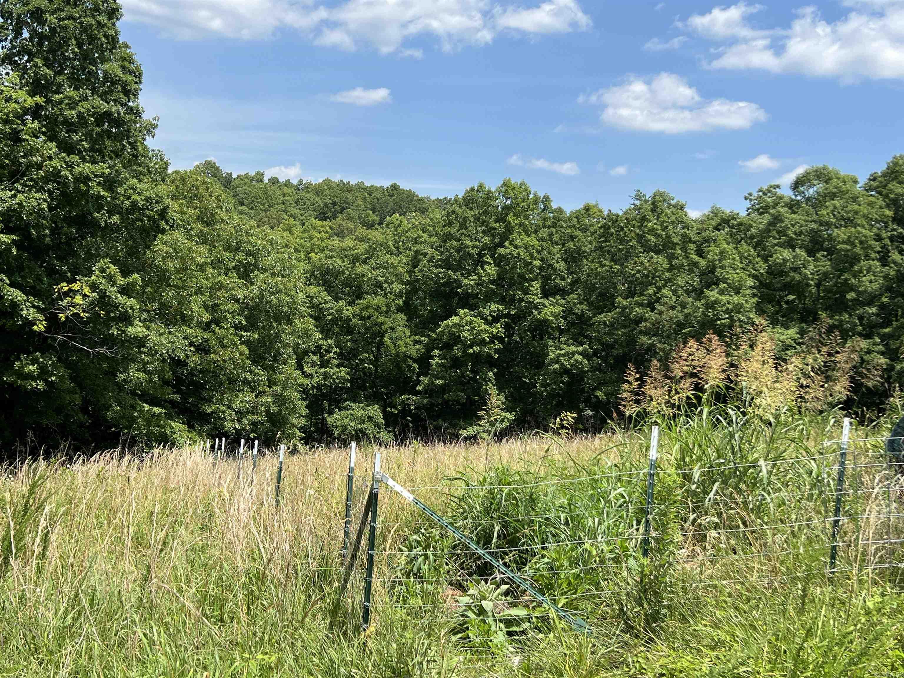 1717 Grassy Road Property Photo 37