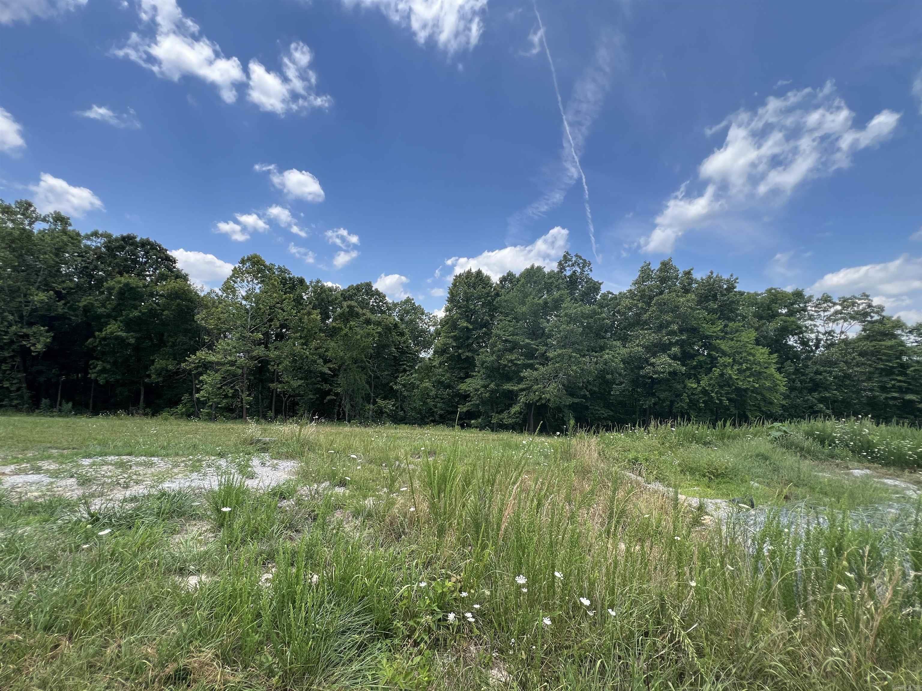 1717 Grassy Road Property Photo 38
