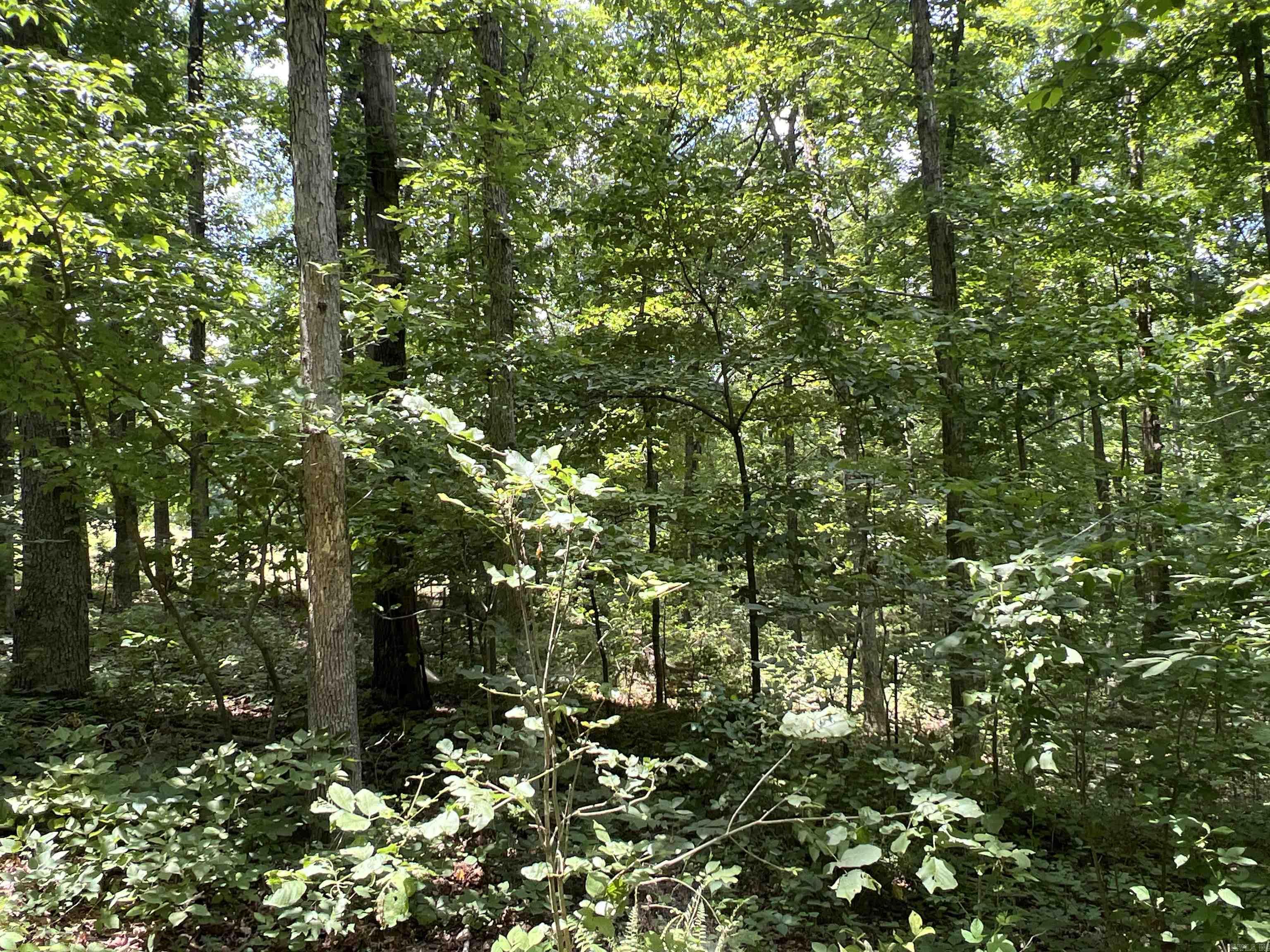 1717 Grassy Road Property Photo 41