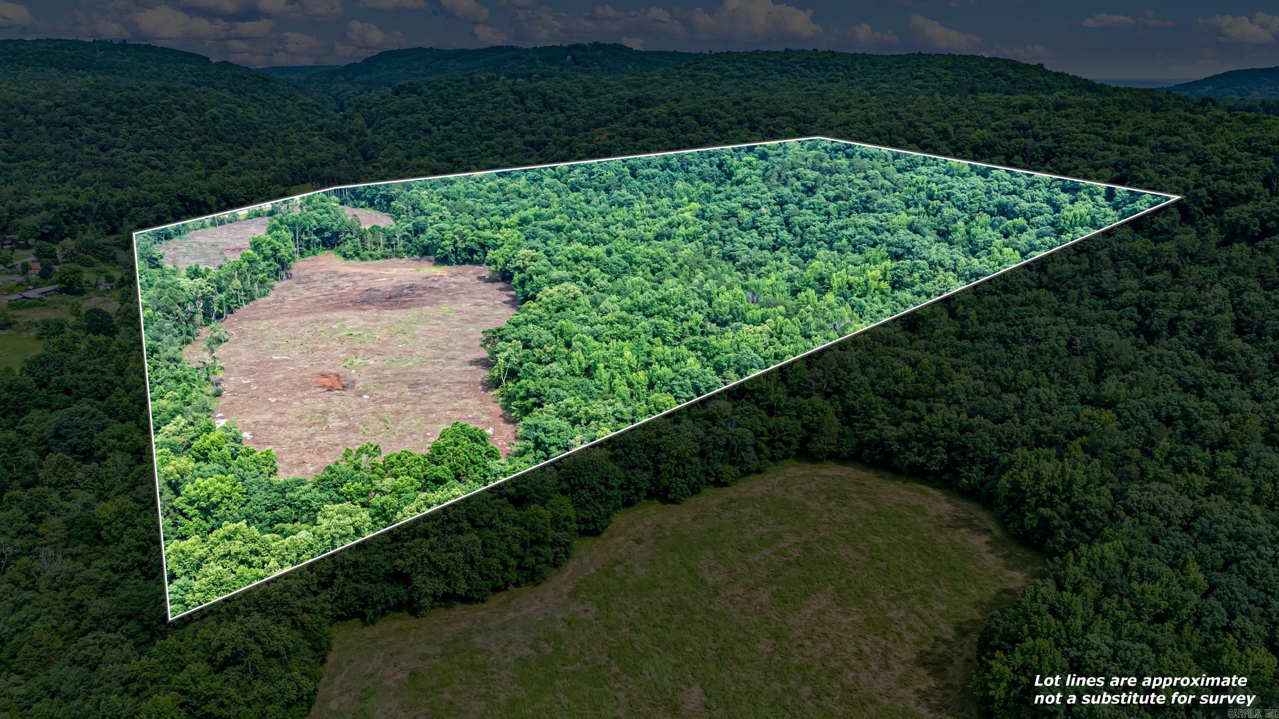50.65 Acres Off Sr 164 W Property Photo 2