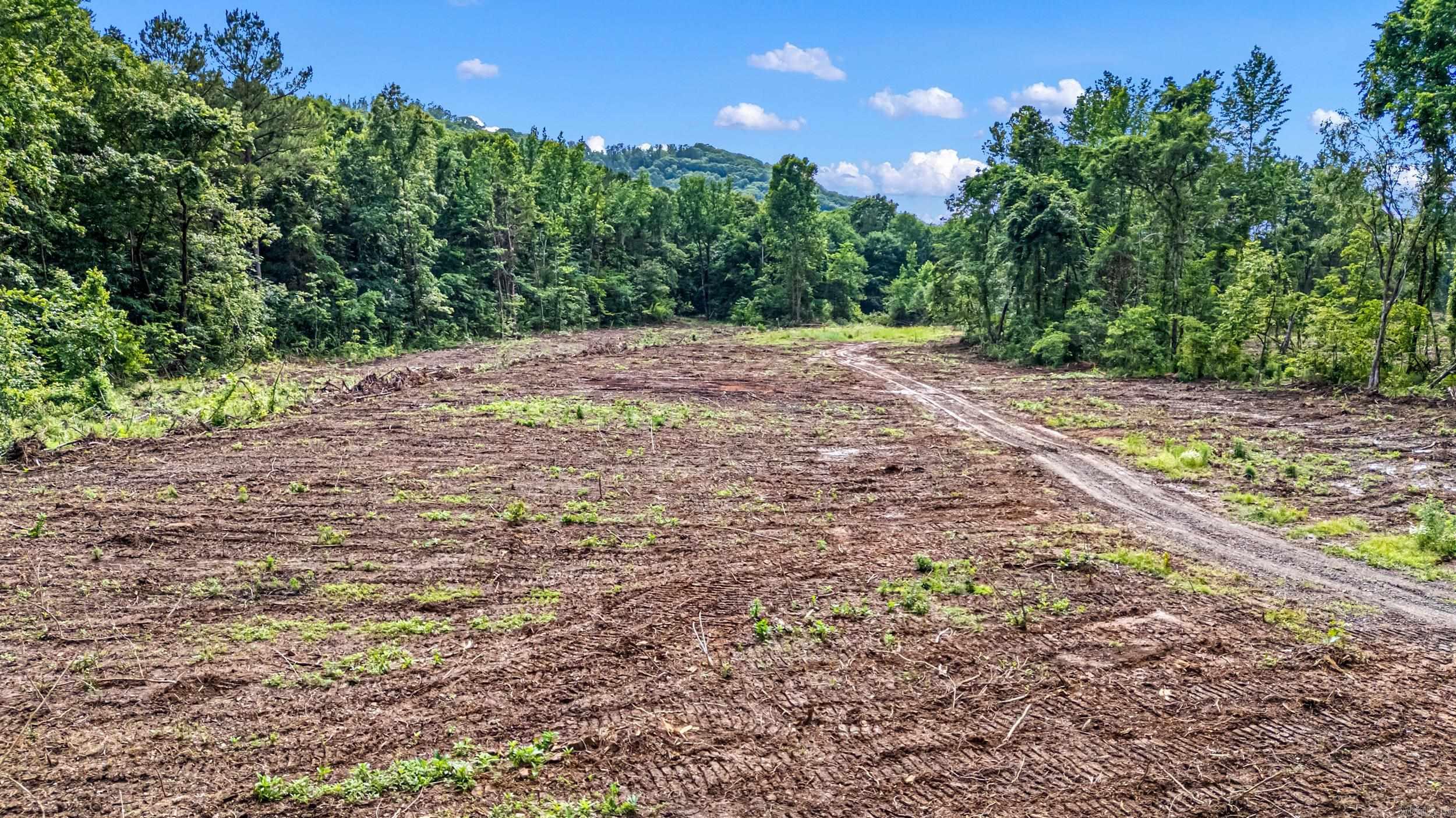 50.65 Acres Off Sr 164 W Property Photo 3