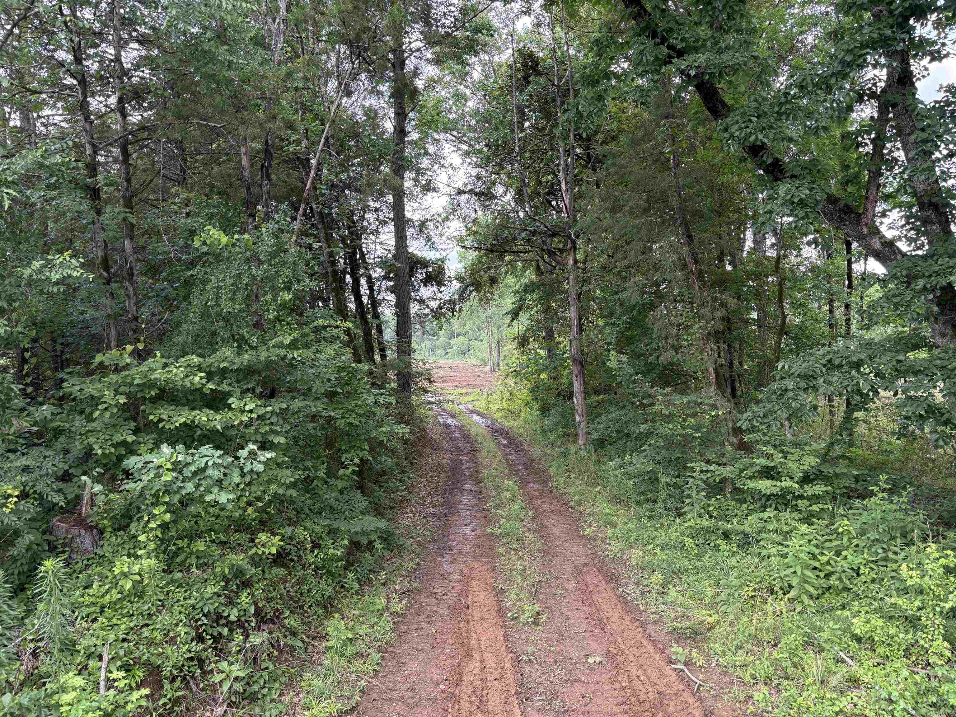 50.65 Acres Off Sr 164 W Property Photo 4