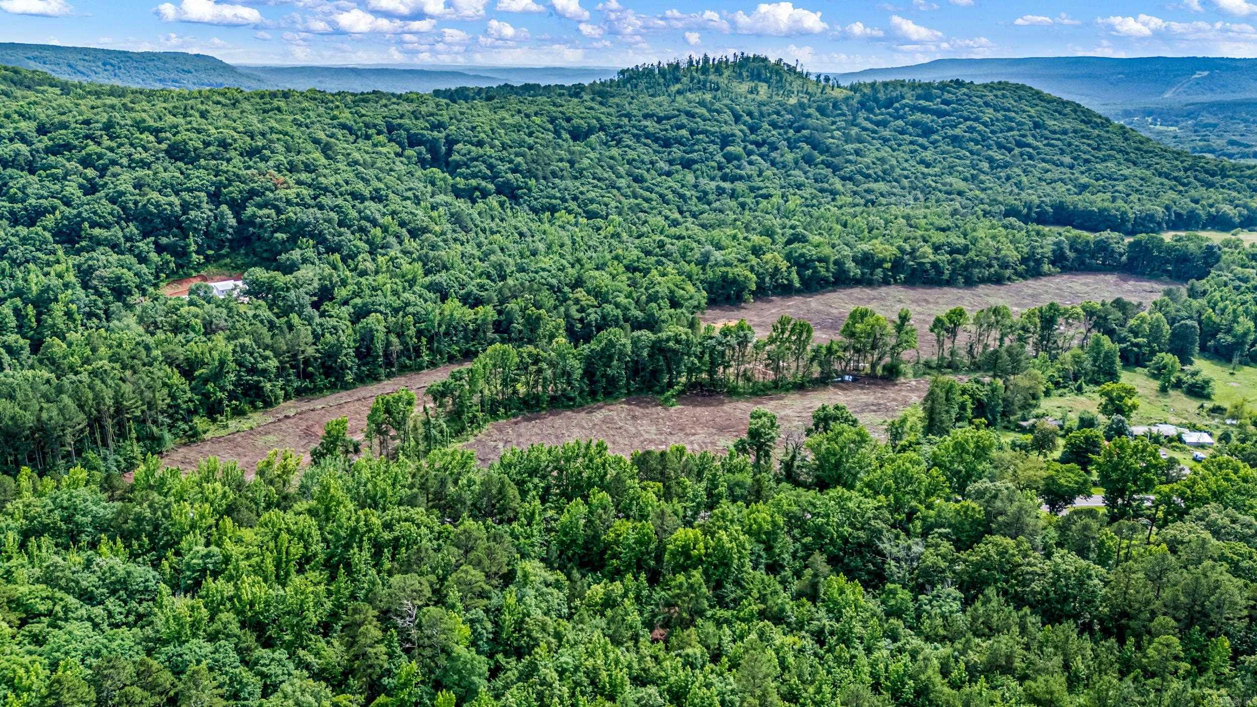 50.65 Acres Off Sr 164 W Property Photo 6