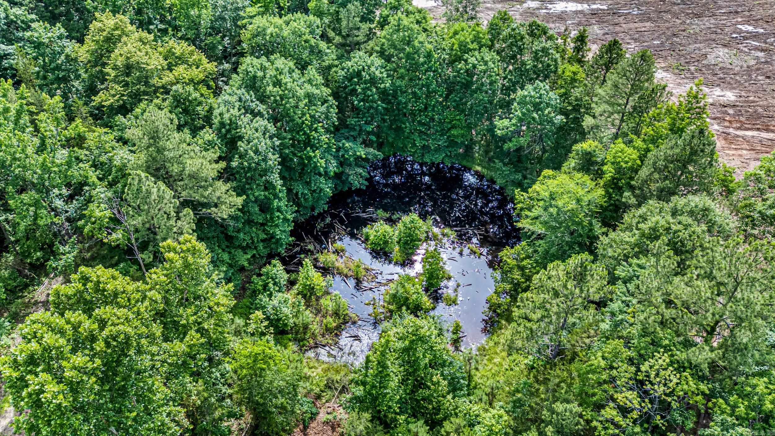 50.65 Acres Off Sr 164 W Property Photo 9