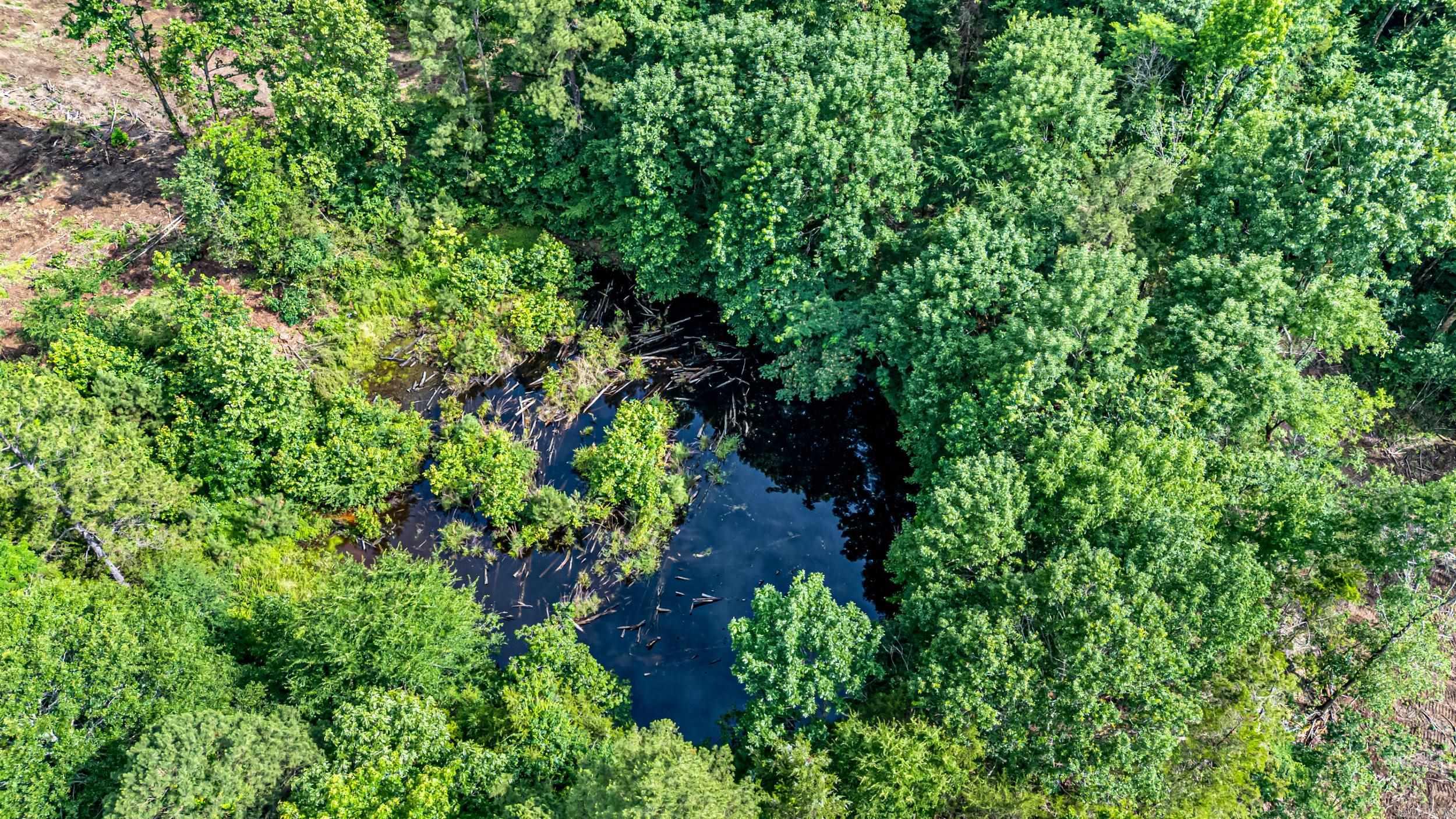 50.65 Acres Off Sr 164 W Property Photo 10
