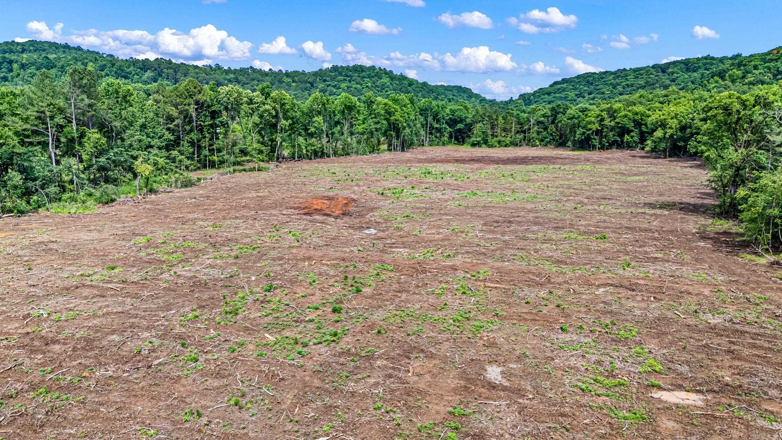50.65 Acres Off Sr 164 W Property Photo 11
