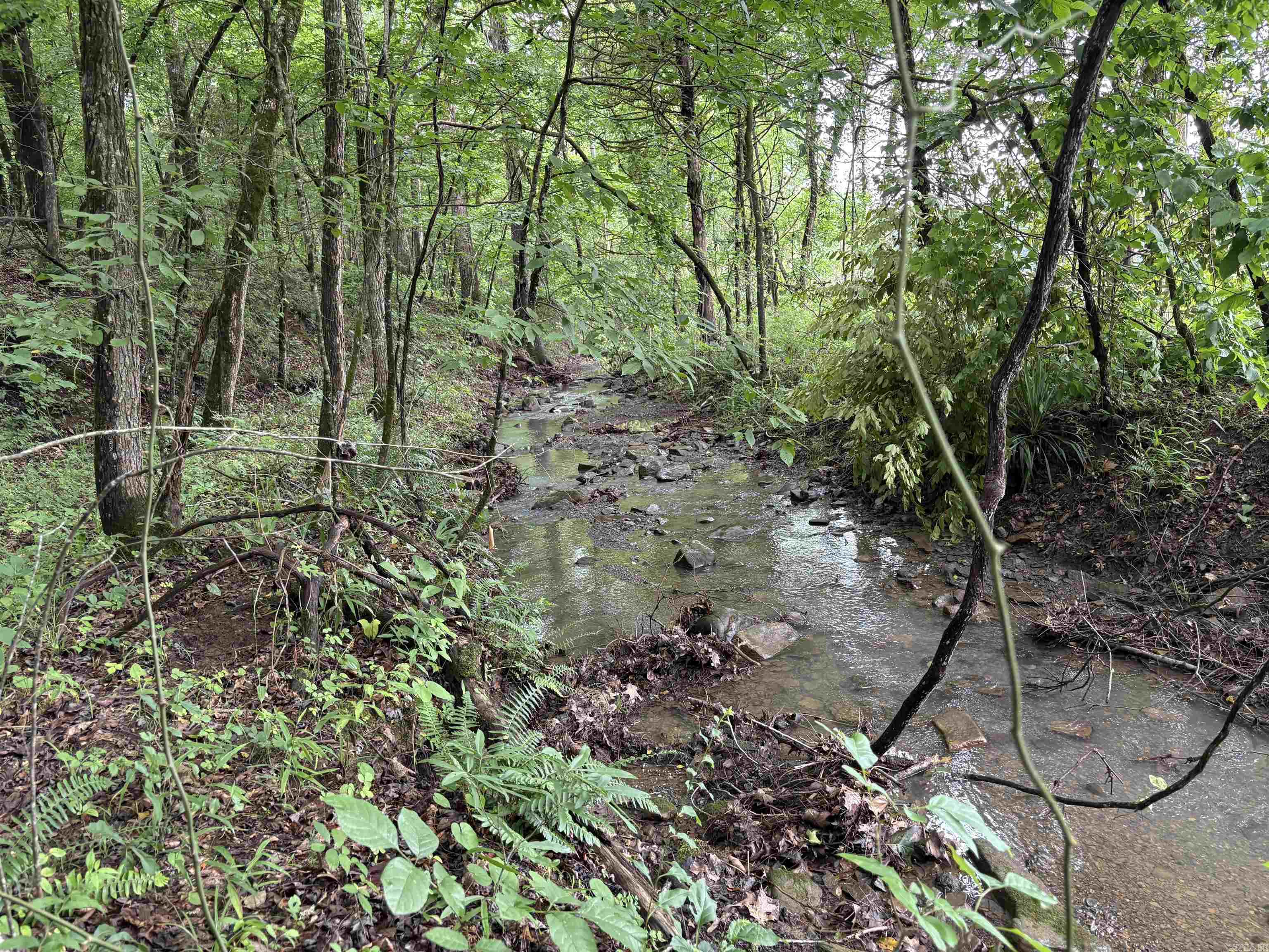 50.65 Acres Off Sr 164 W Property Photo 15