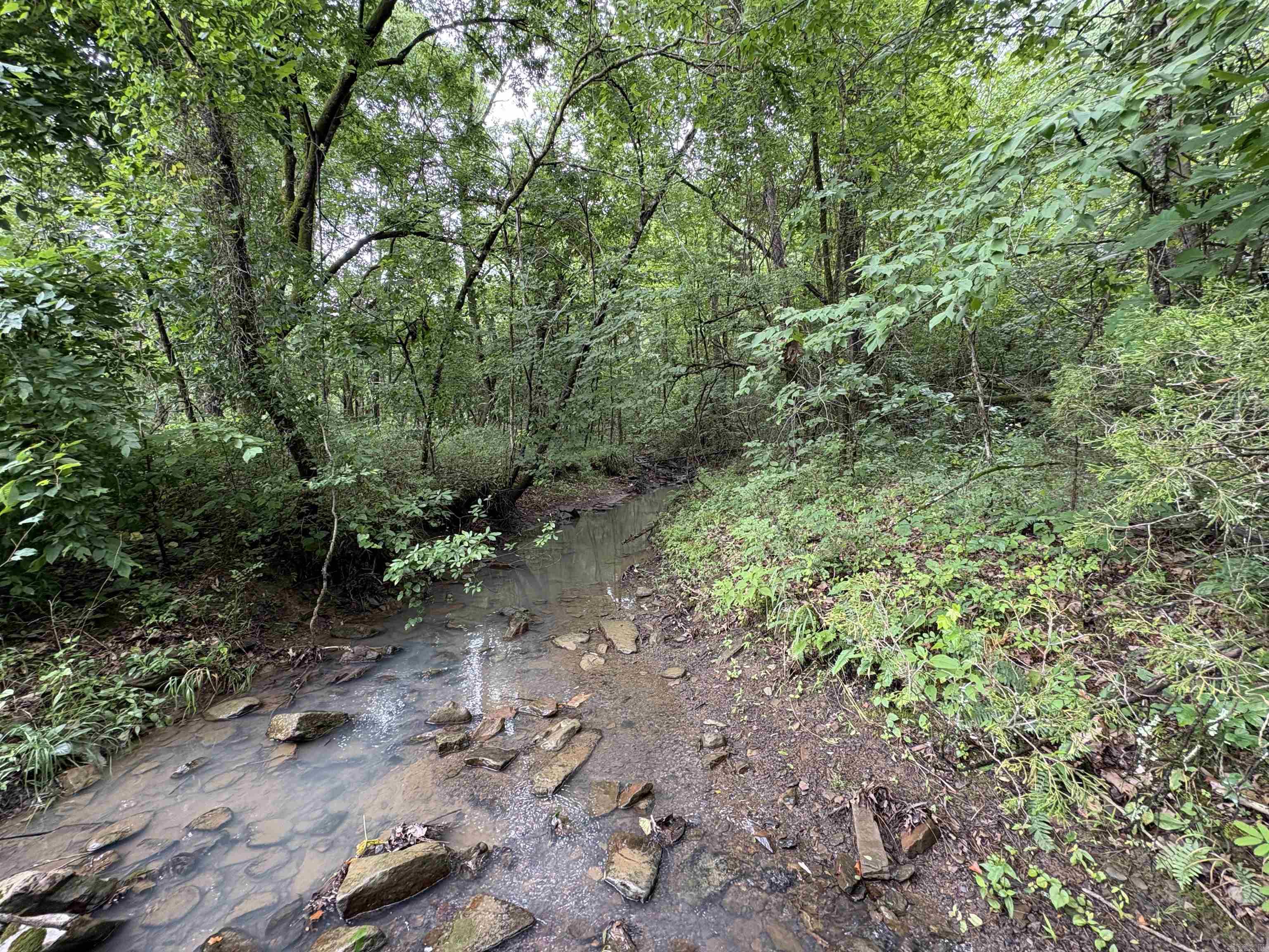 50.65 Acres Off Sr 164 W Property Photo 17