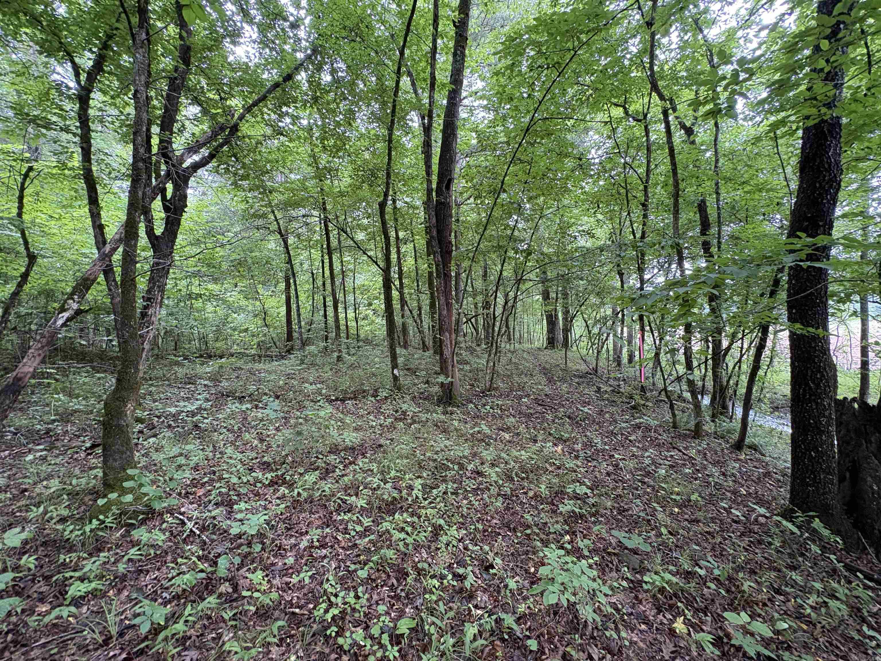 50.65 Acres Off Sr 164 W Property Photo 20